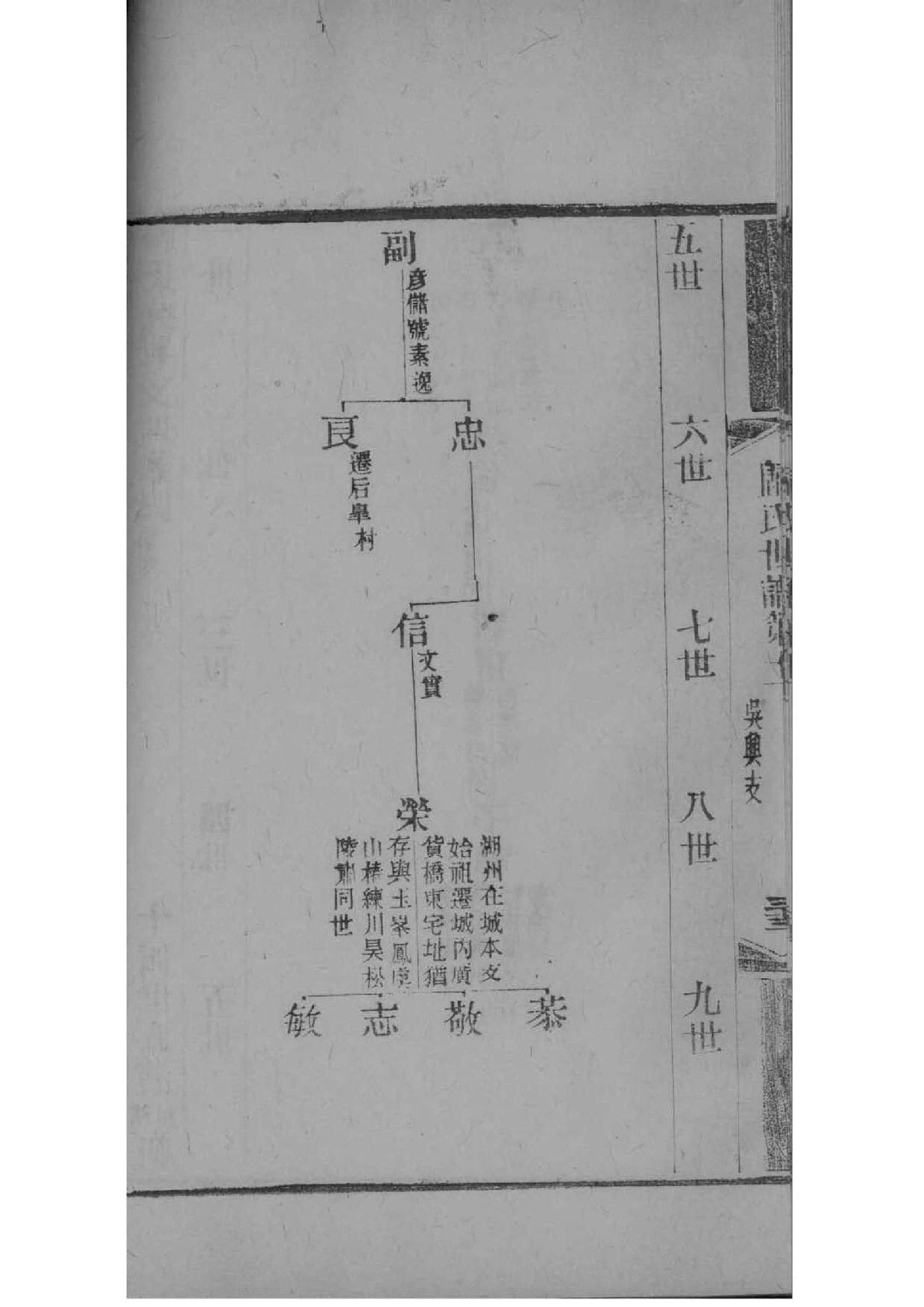 唐代族谱