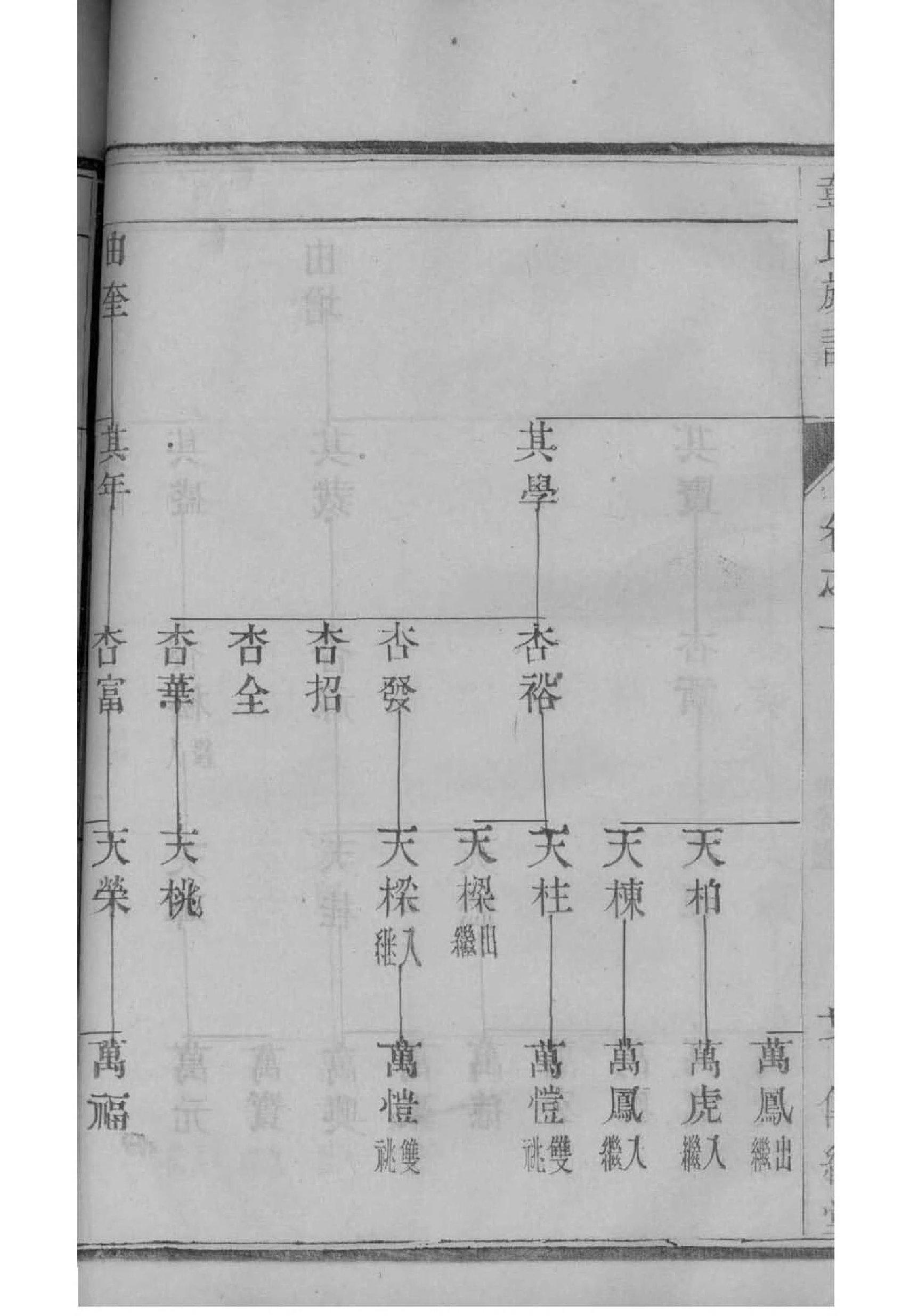 家族族谱