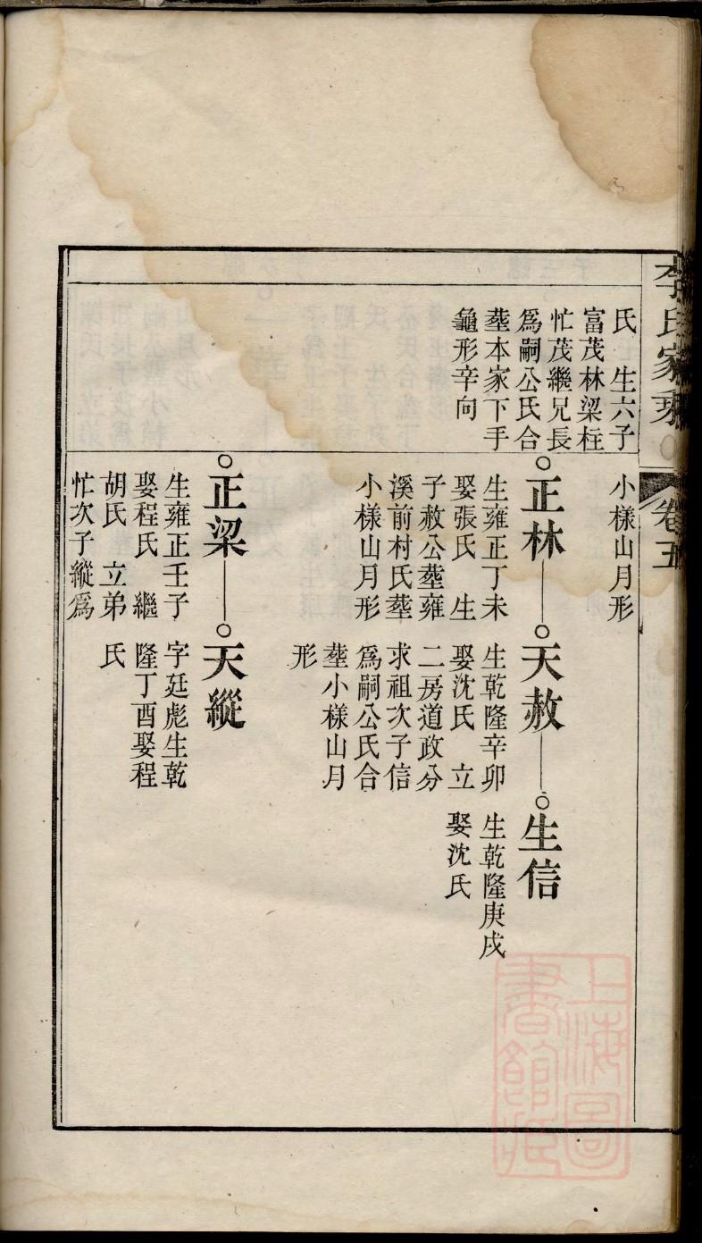 图表家谱制作模板
