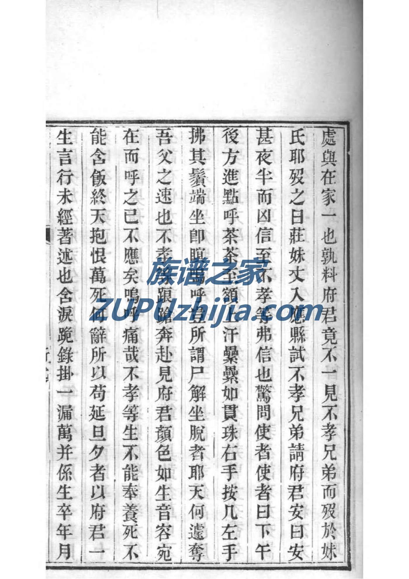 魏氏族谱电子版