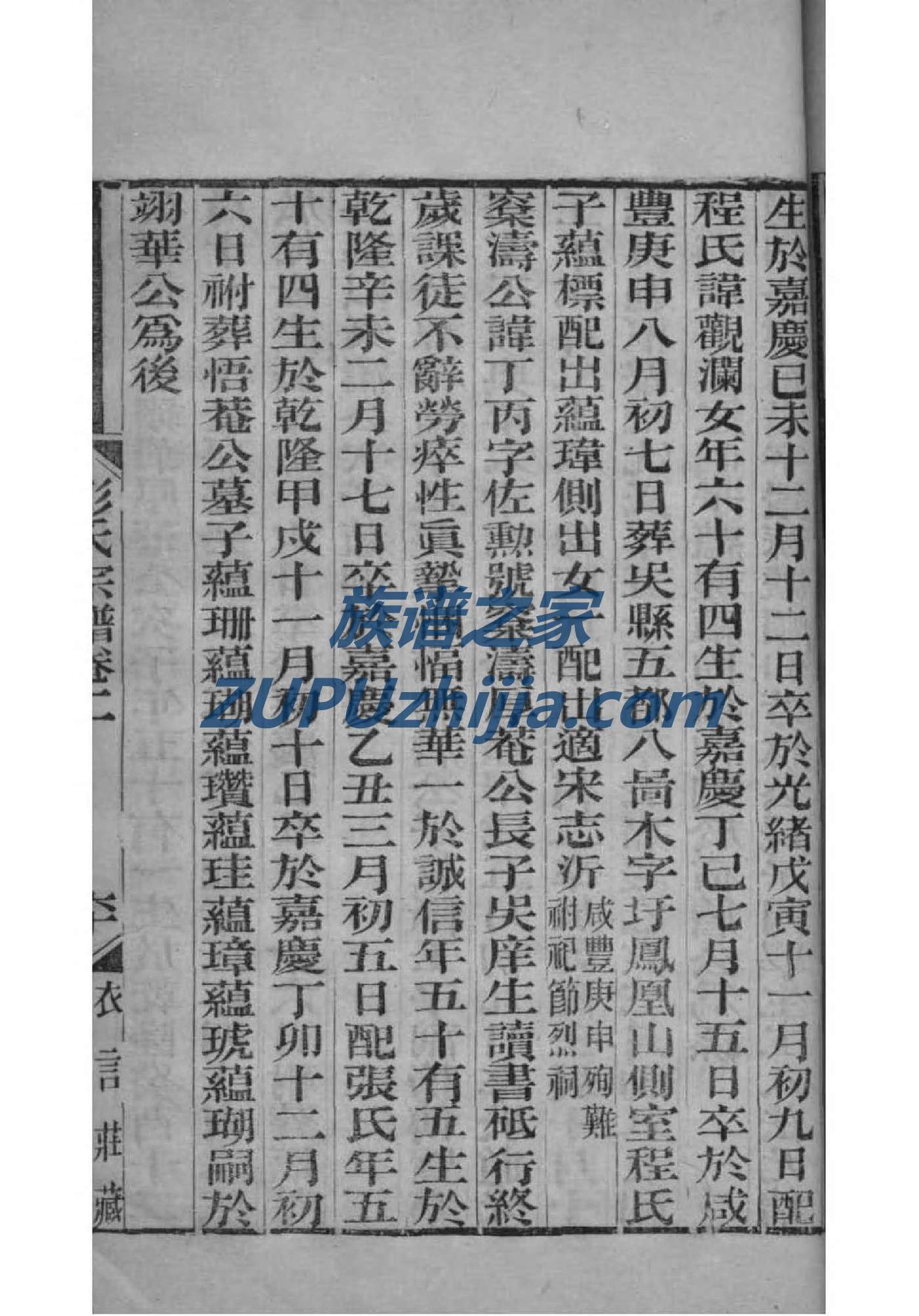 殷家族谱查询