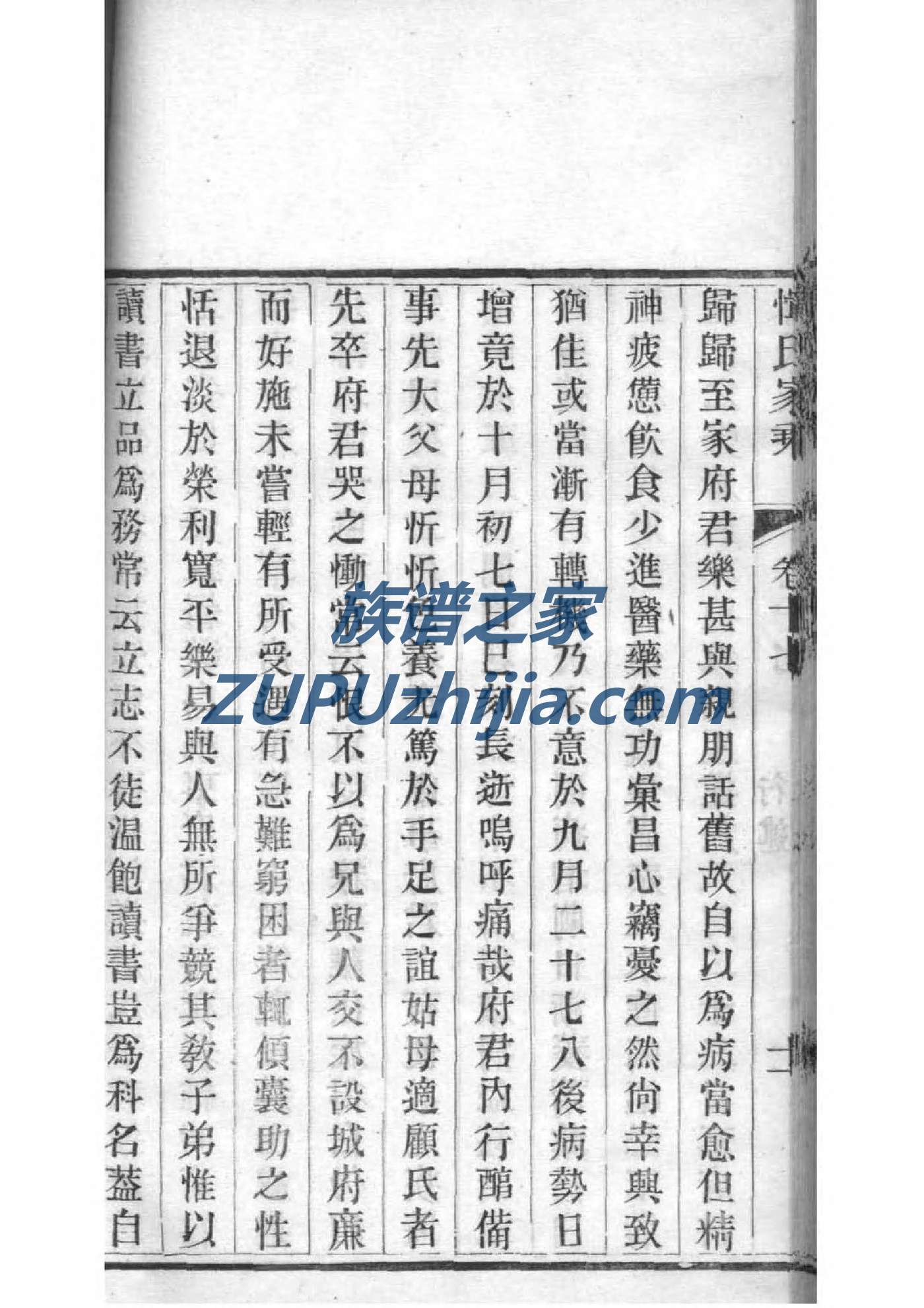 蒲家族谱查询