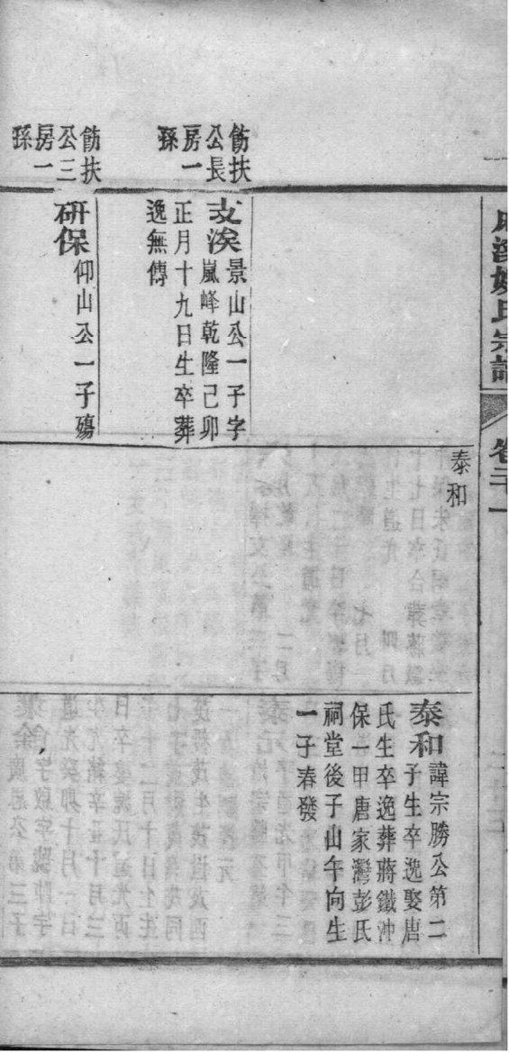 族谱图制作