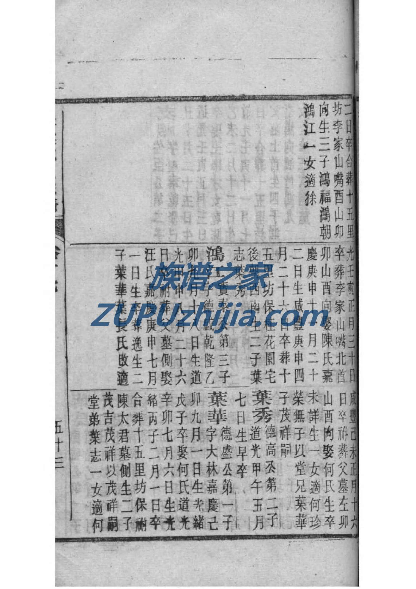 仲孙氏的起源
