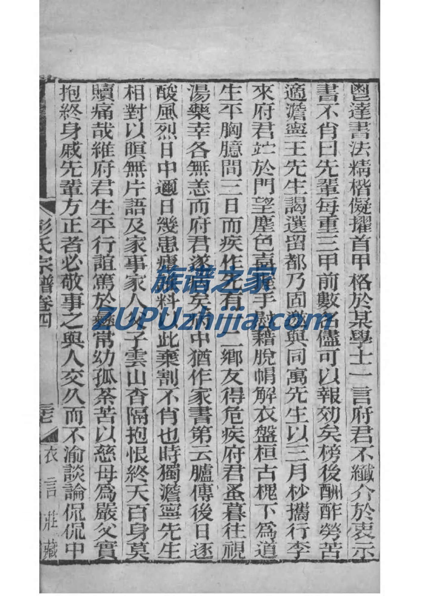弓氏族谱族规是什么