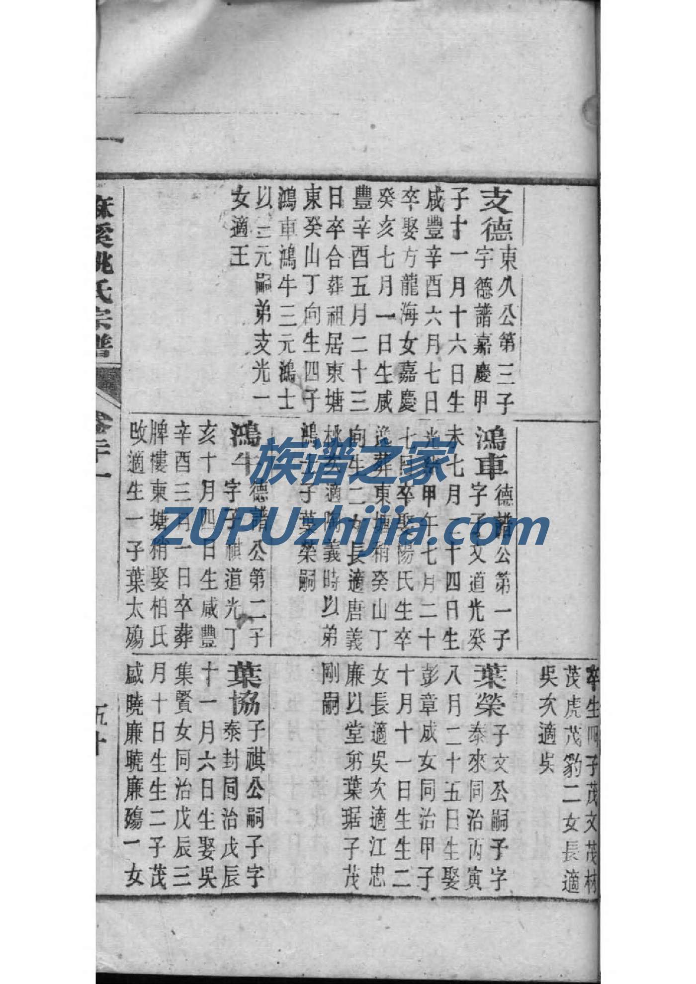 族谱排版电子版