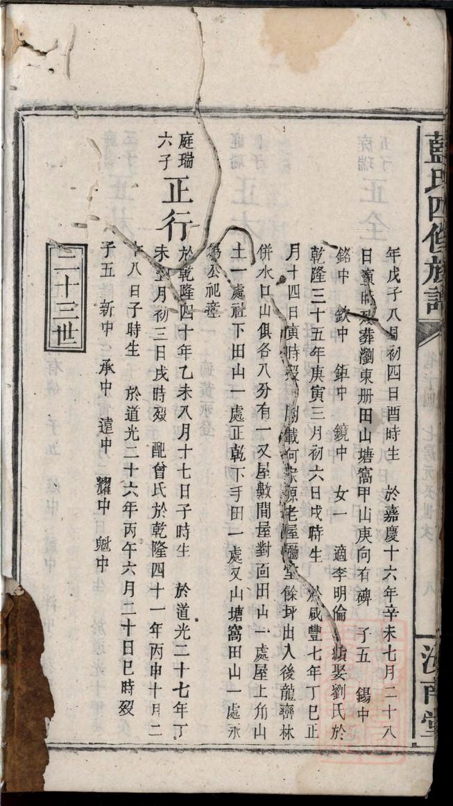乙氏族谱的收藏价值