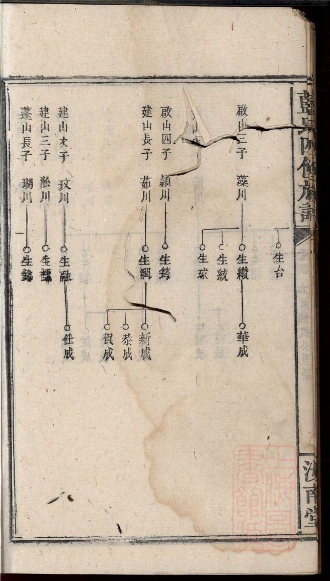 第五姓家谱辈分表