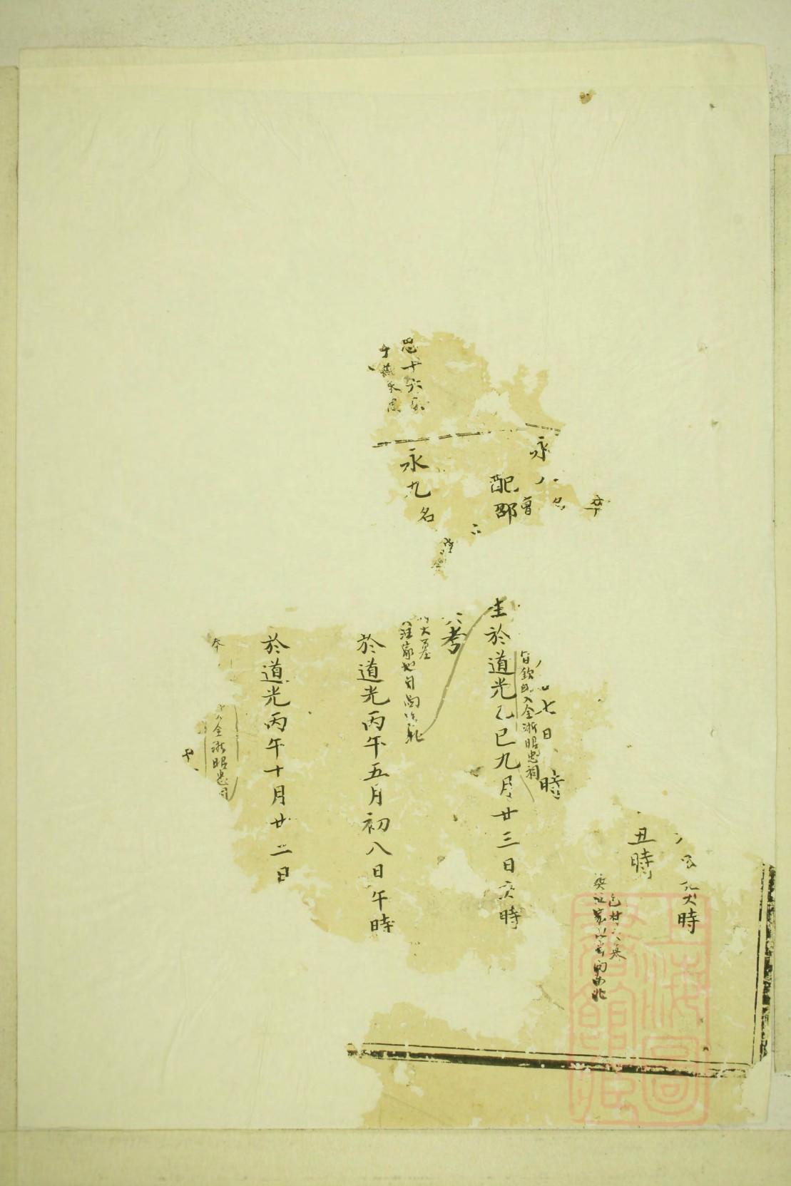 许氏家谱查询