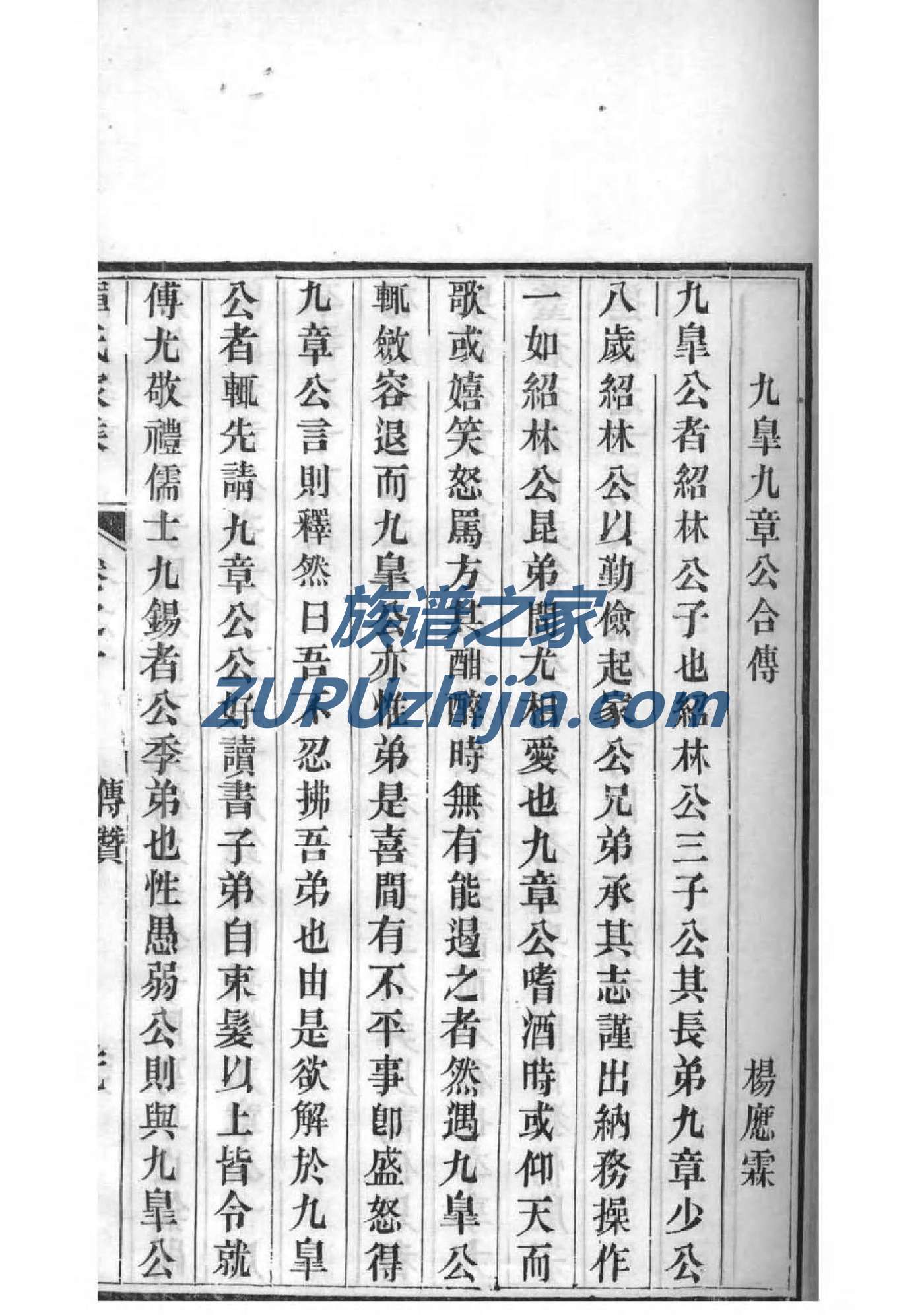 鱼金氏家谱网