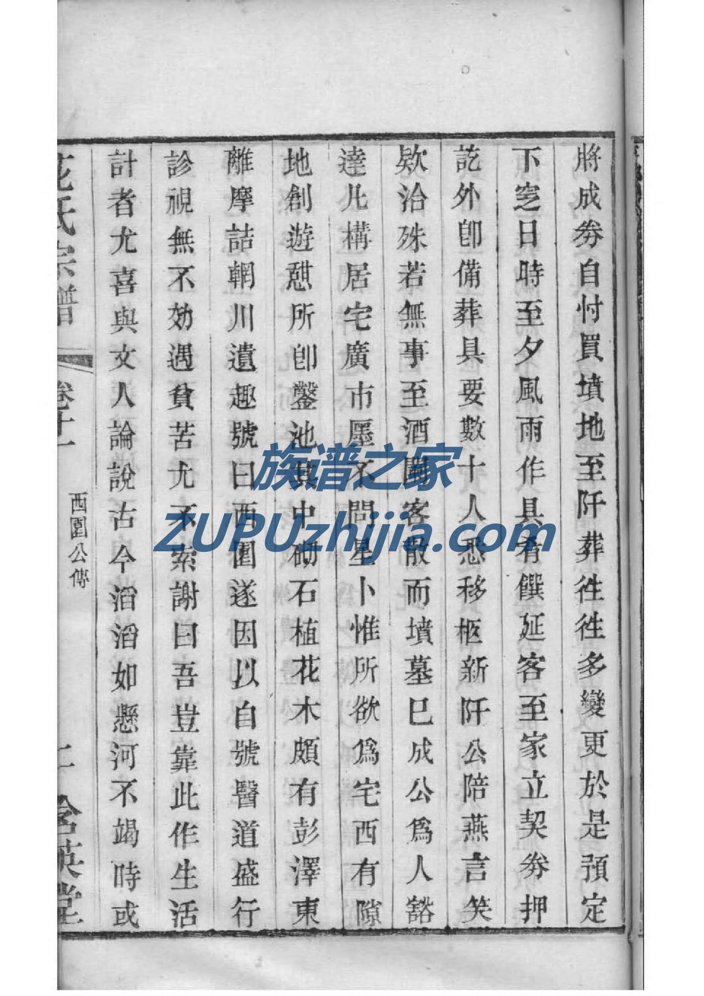 在线家谱制作