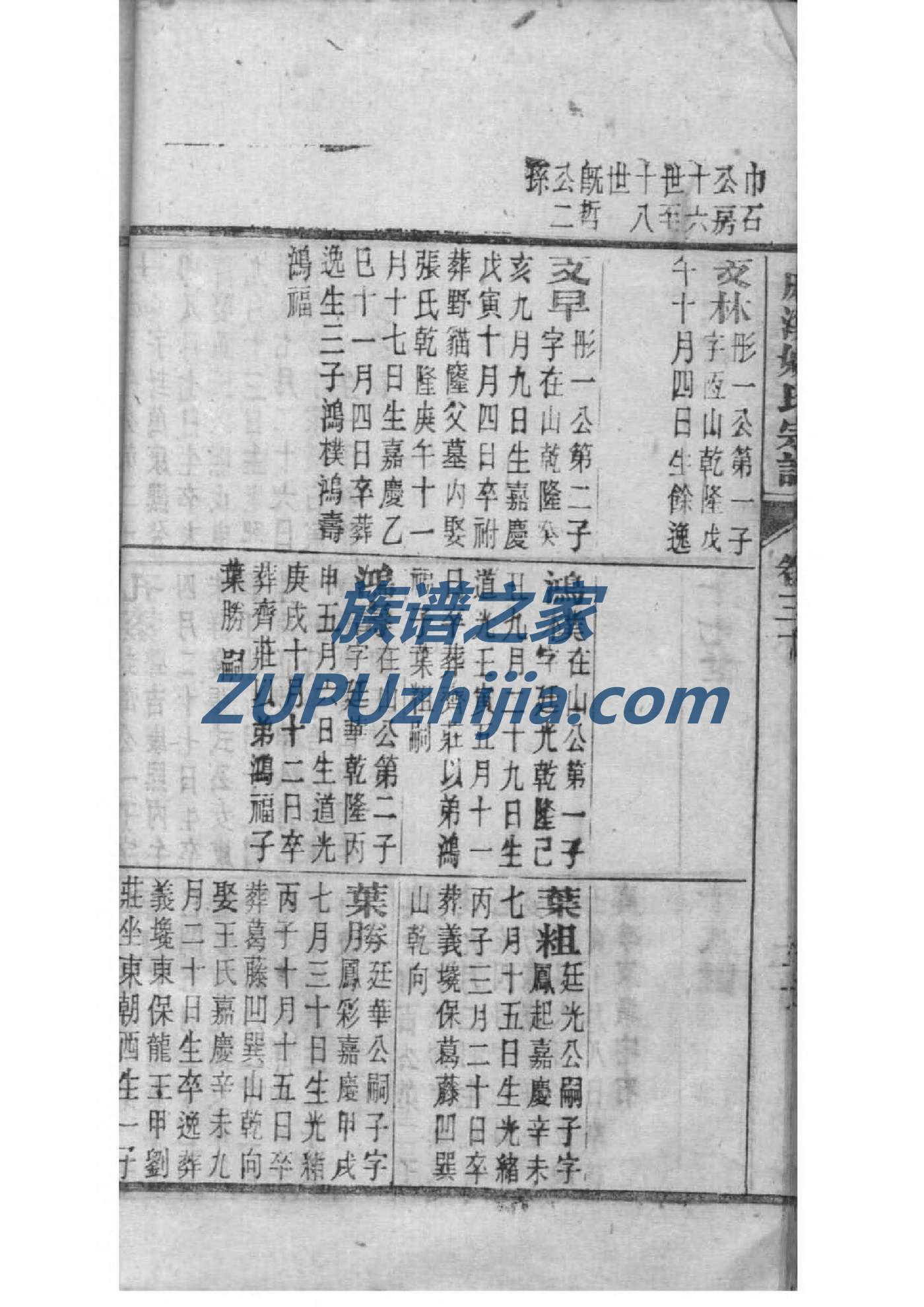 崇氏家谱查询