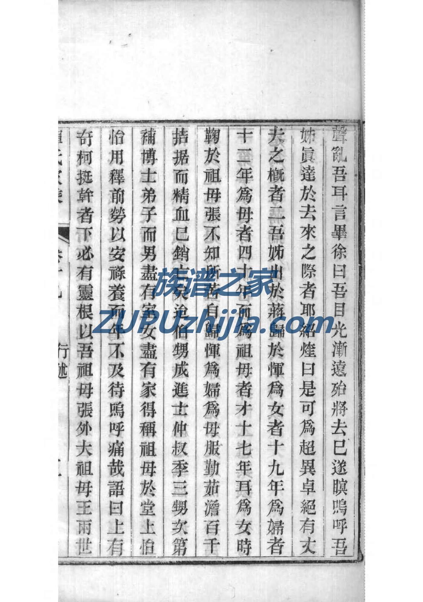 童家族谱查询