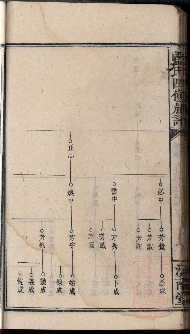 赵氏族谱视频