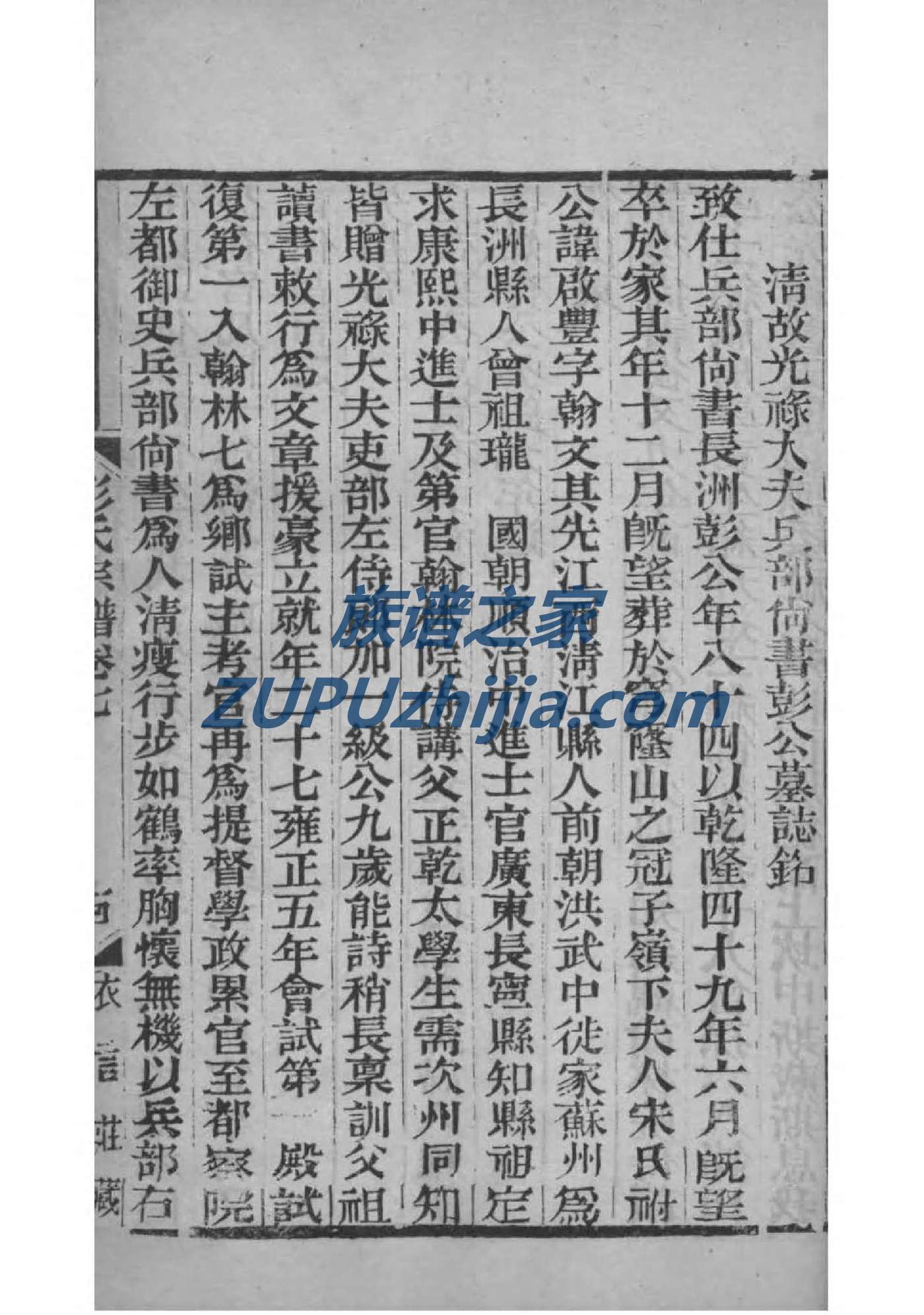 王的族谱