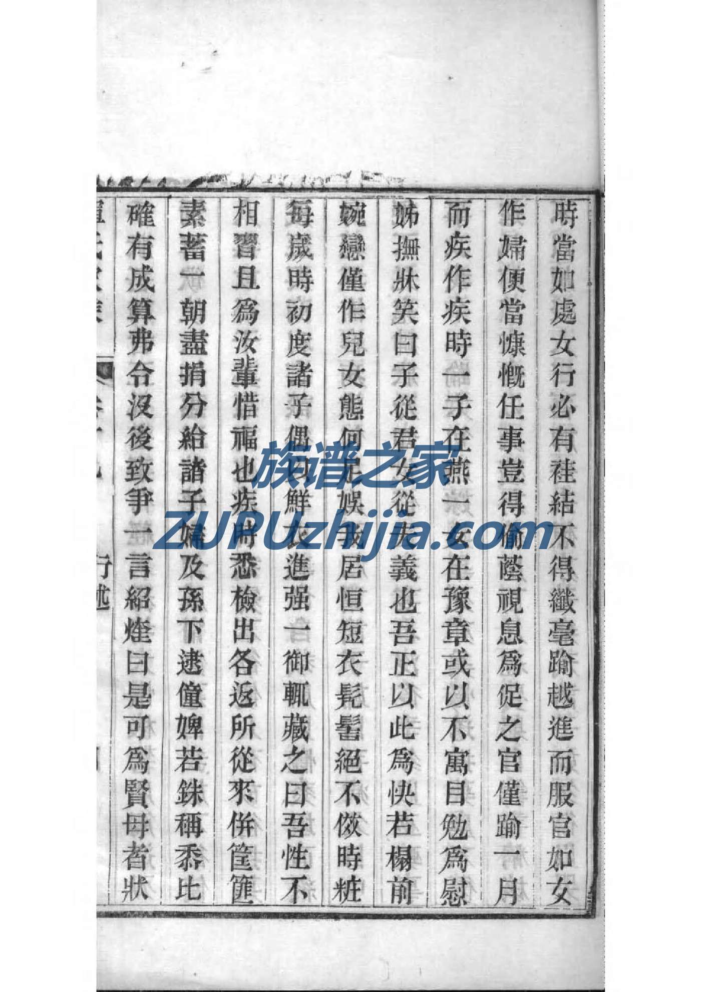 彤家家谱查询