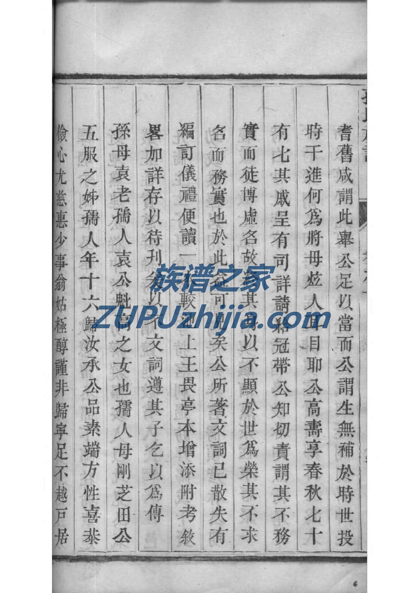 陈锡连的族谱