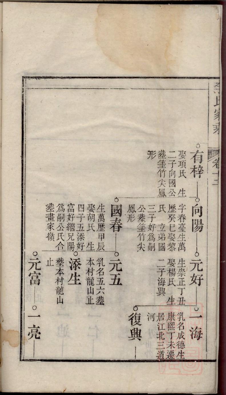 如何能查到姓氏族谱