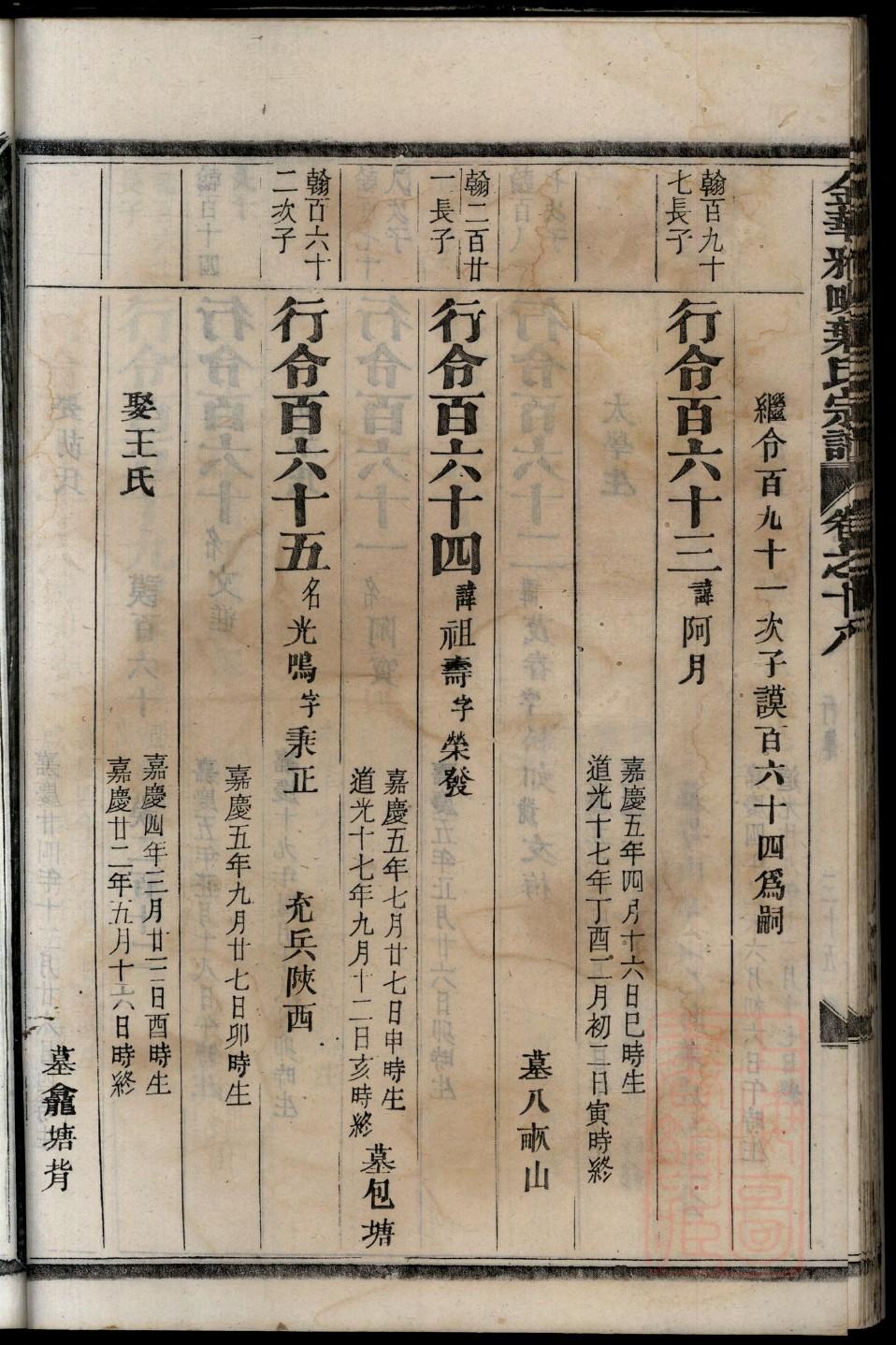 家族族谱姓氏