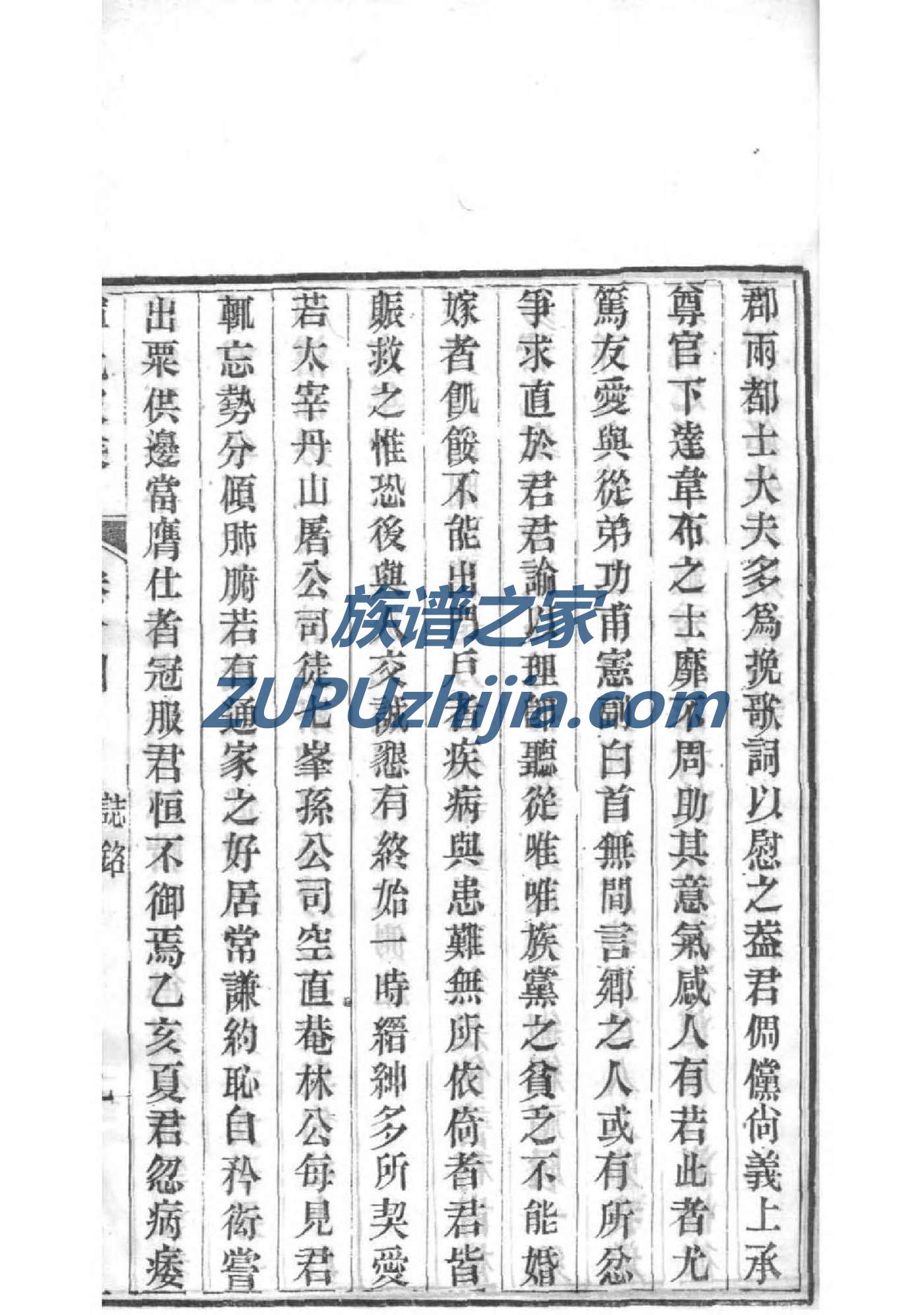辟氏族谱字辈书