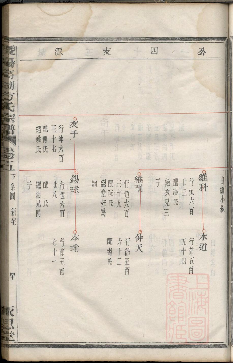 家族谱系图怎么画英文
