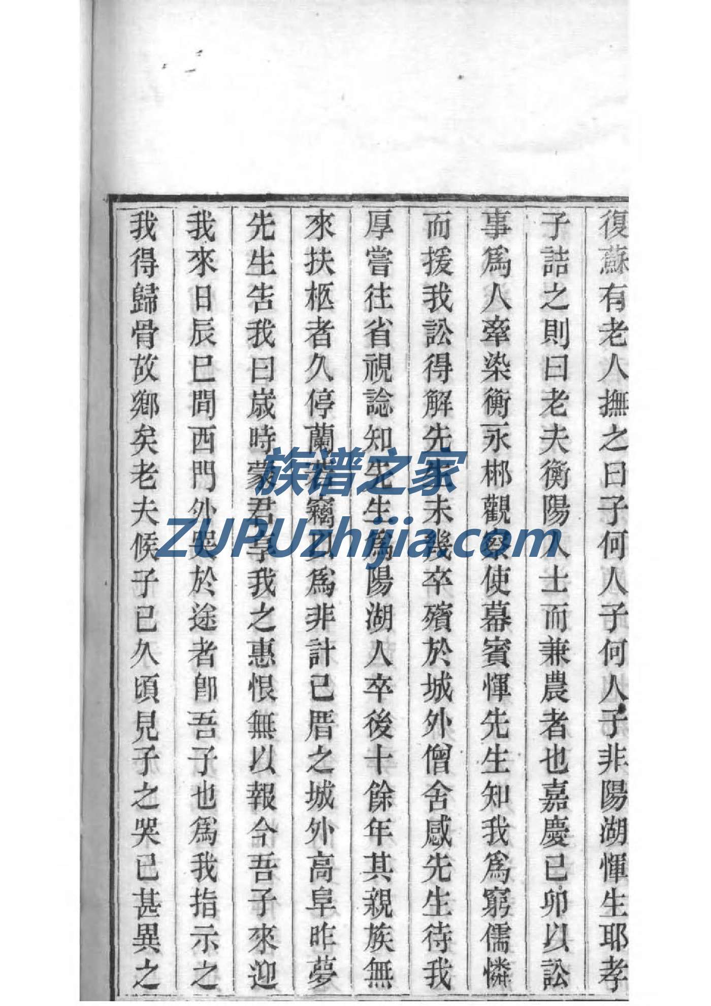 仰氏族谱大全