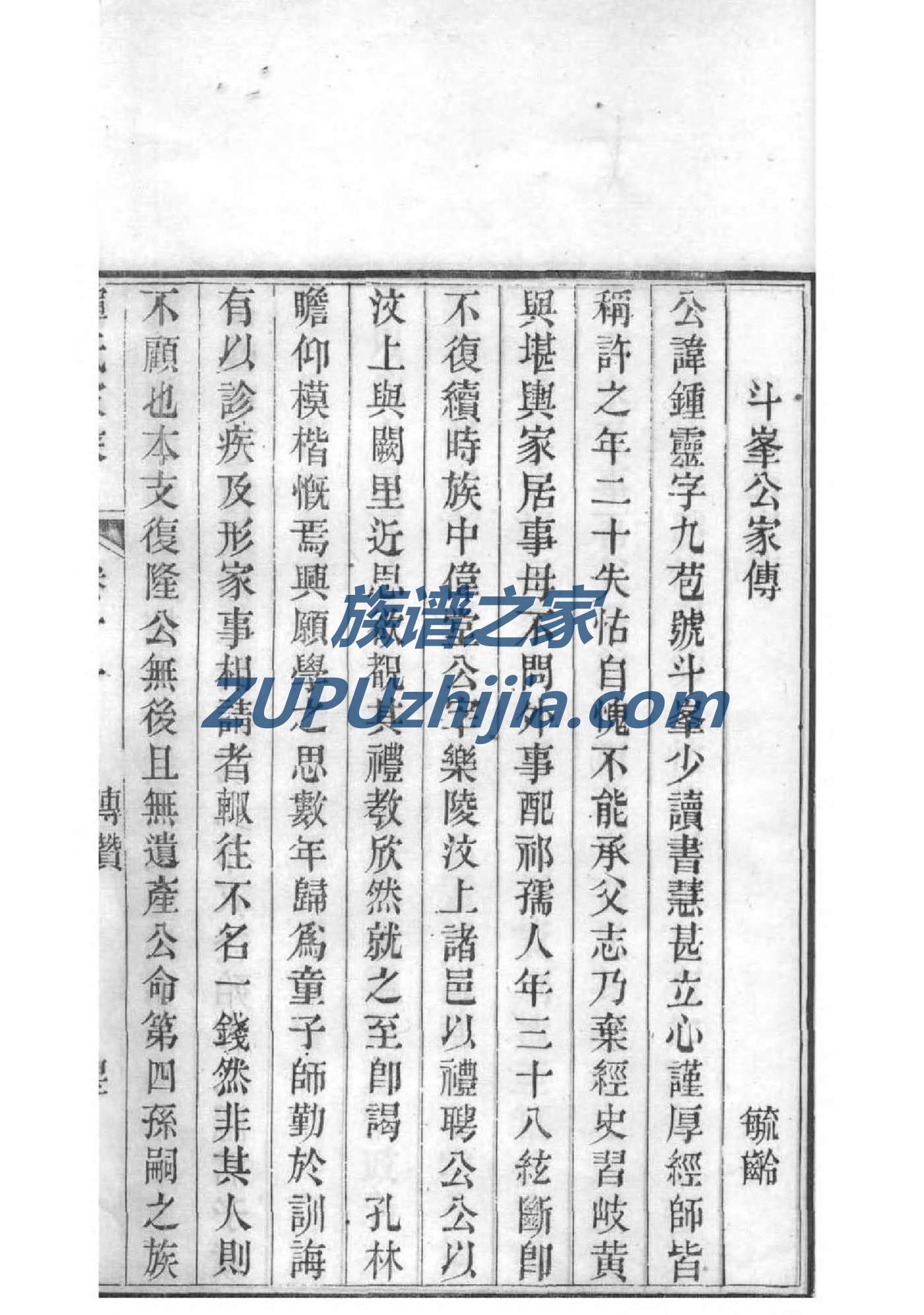 系姓家谱辈分表