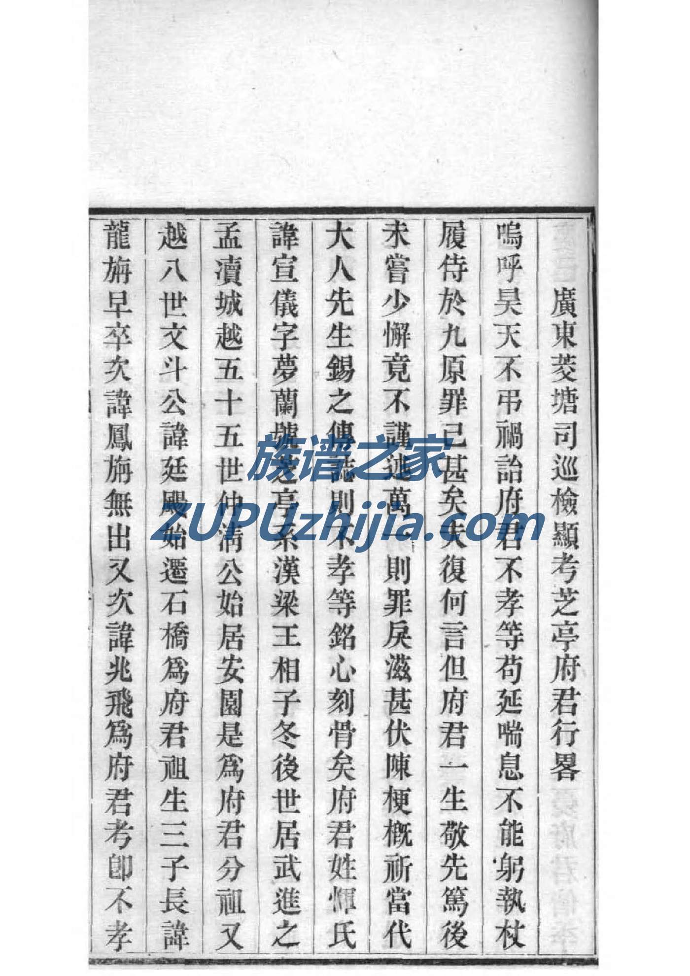 于姓家谱辈分表