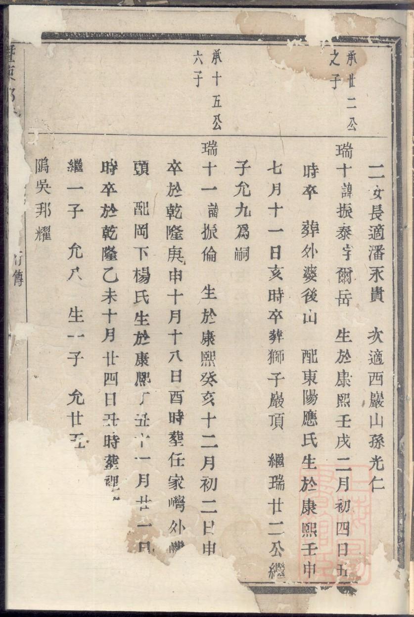 乙家族谱查询