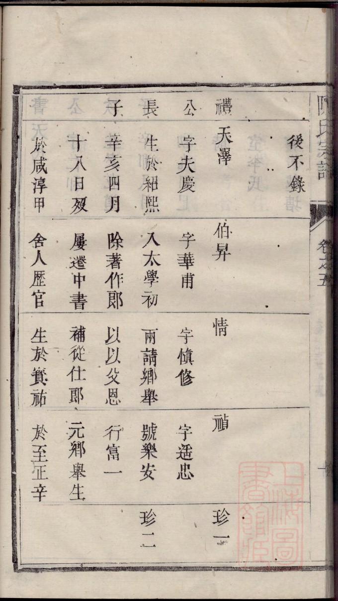简单家谱制作表格