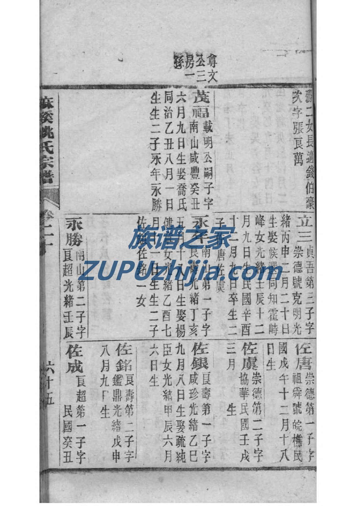 焦氏族谱完整版