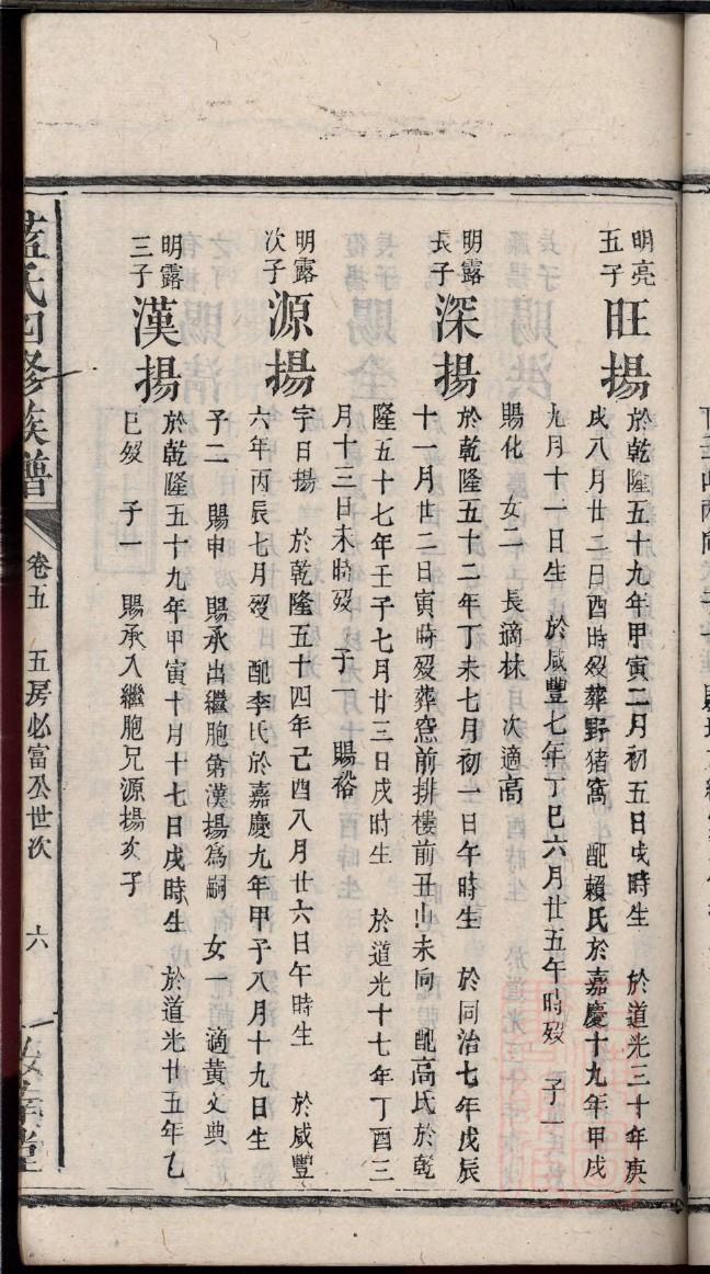 什么是族谱