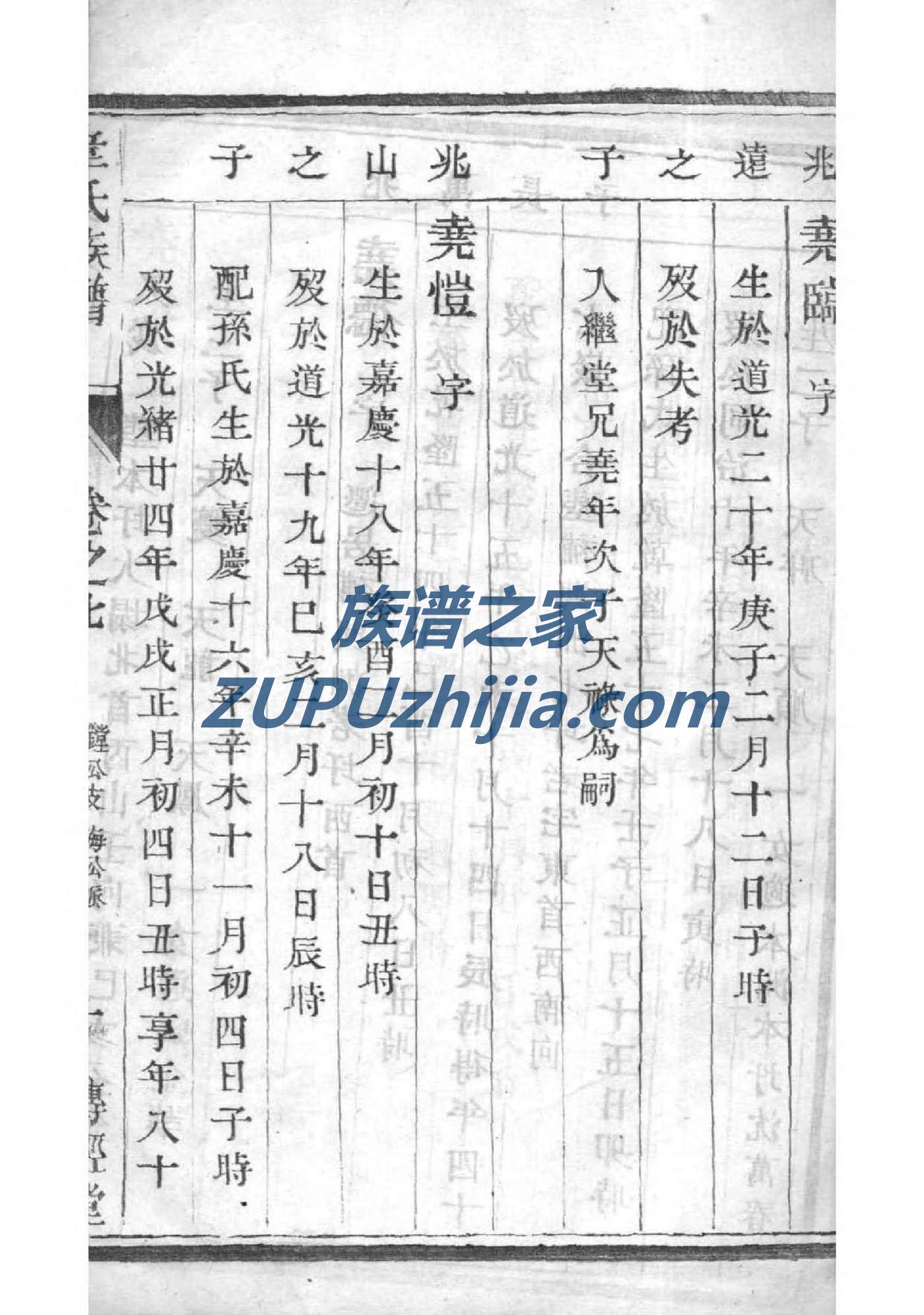 井氏家谱全书