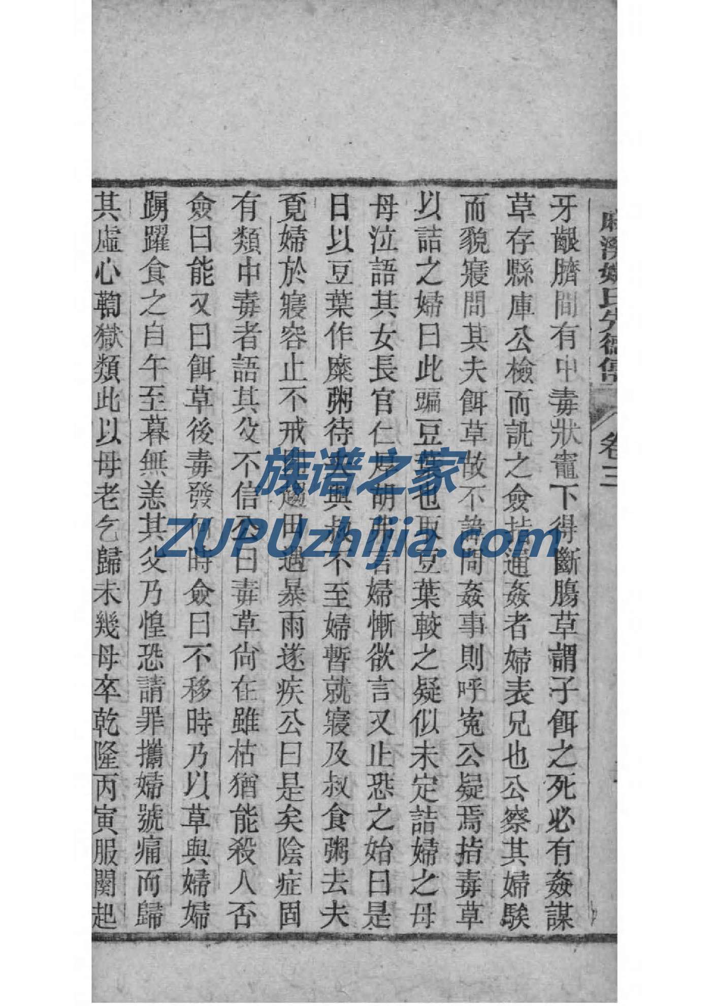 WORD族谱