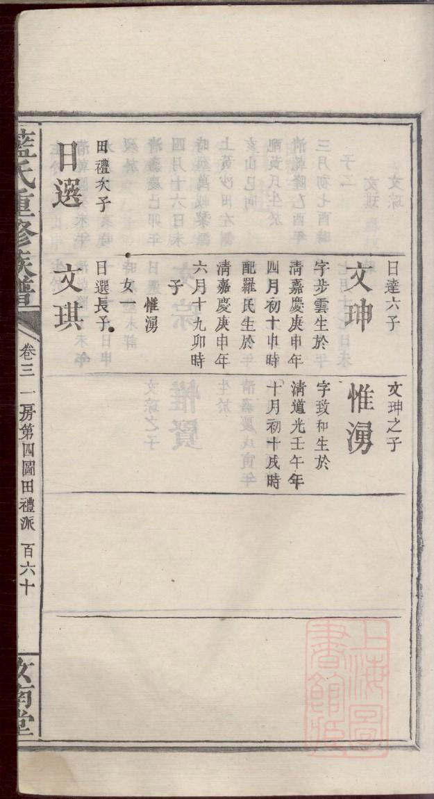 电子族谱软件