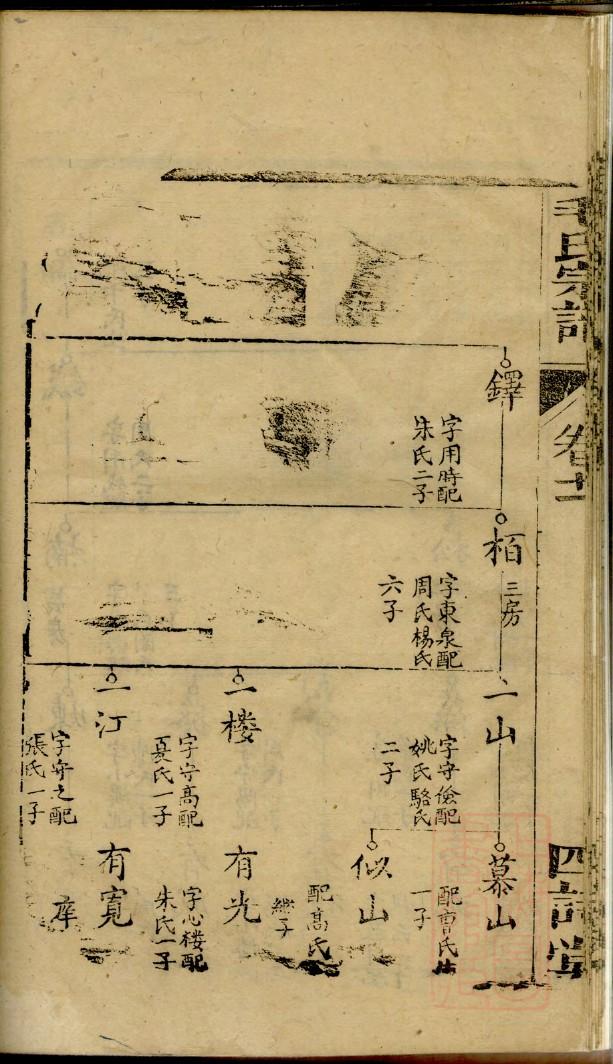 仰氏族谱辈分表