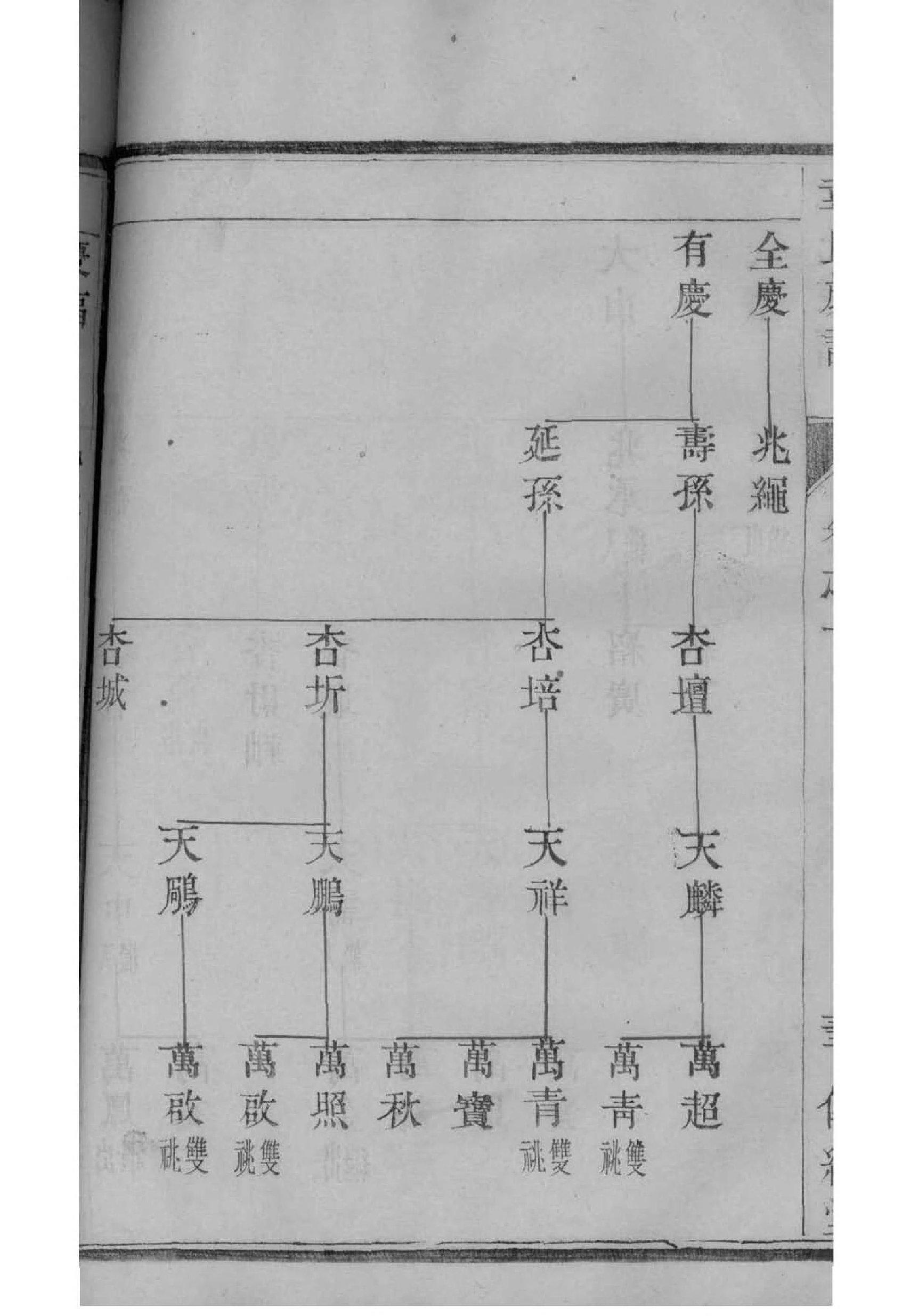 一族族谱