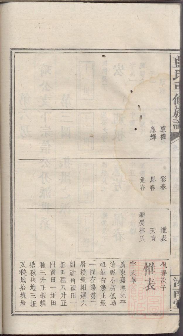 金氏家谱