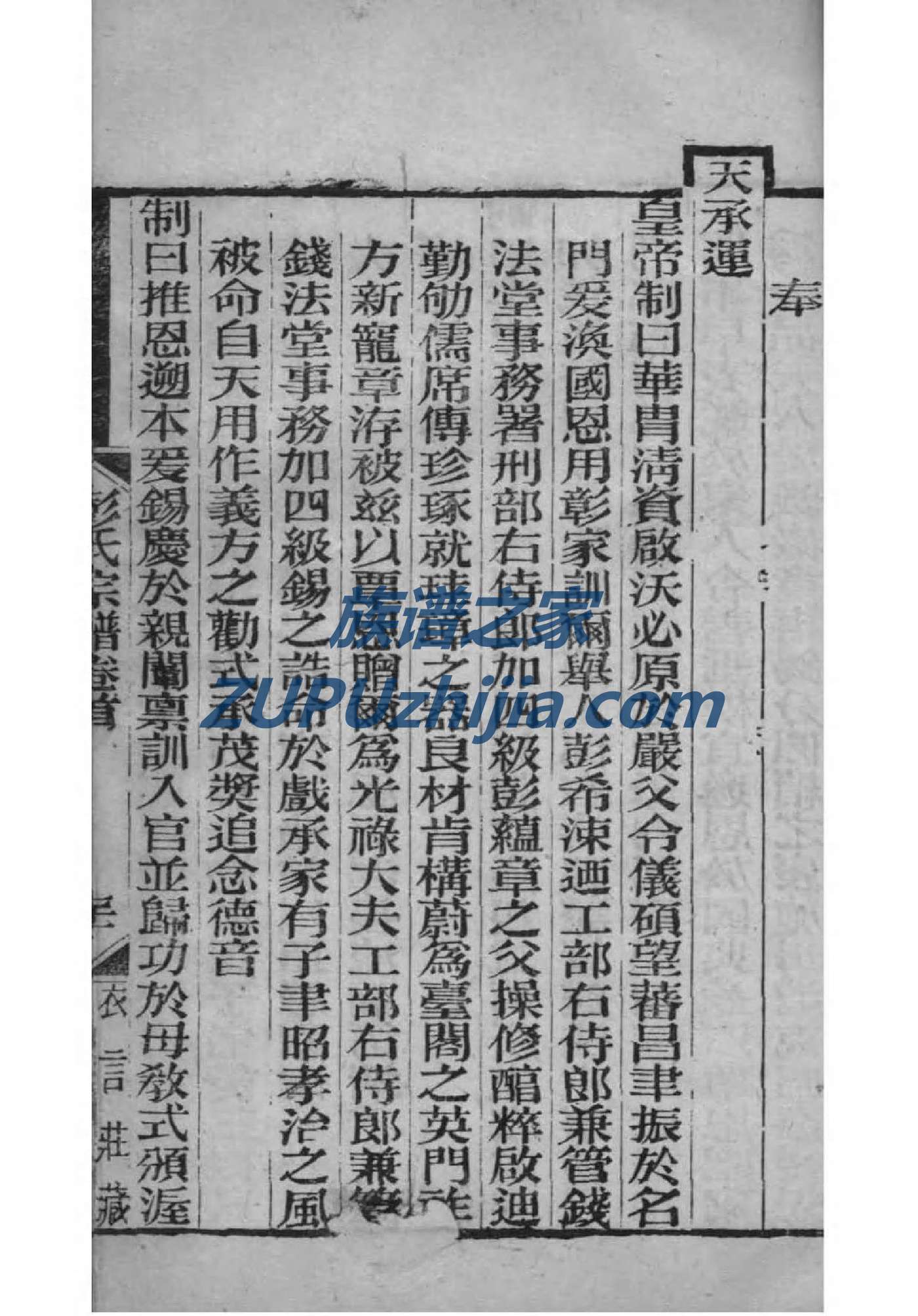 苦氏族谱序范本范文
