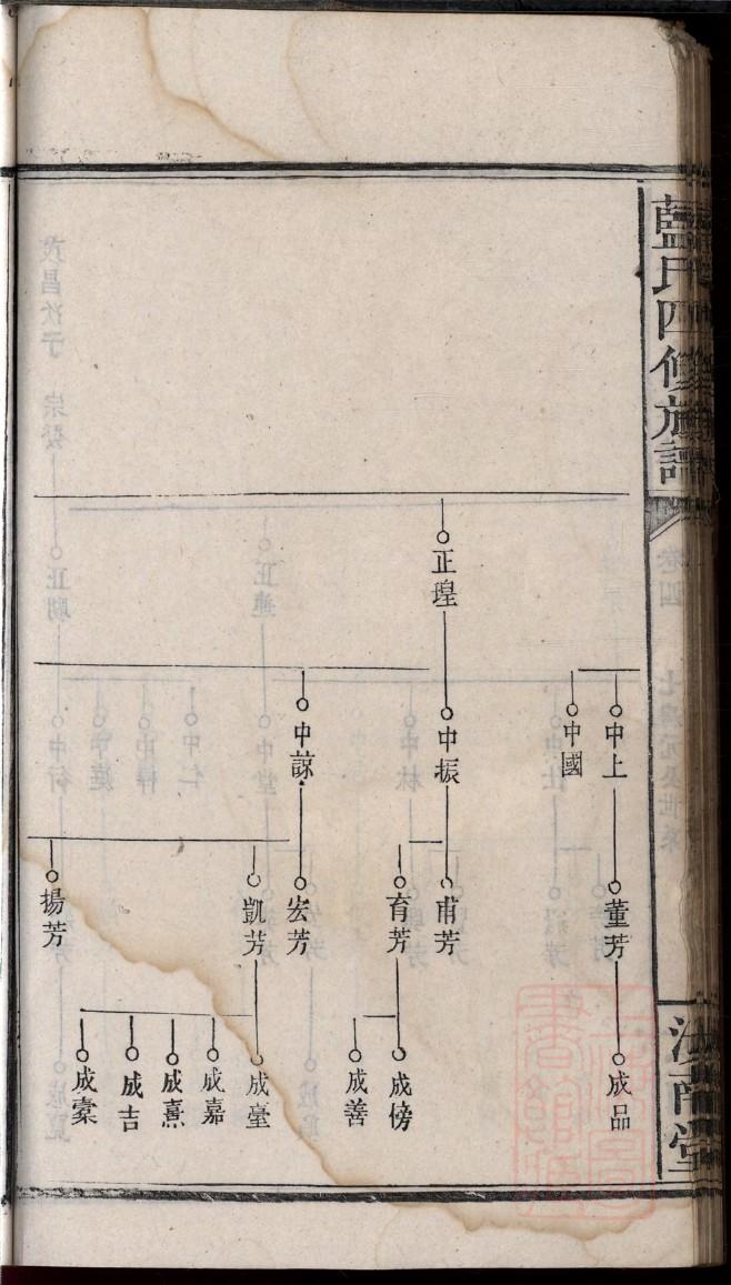 毋家族谱查询