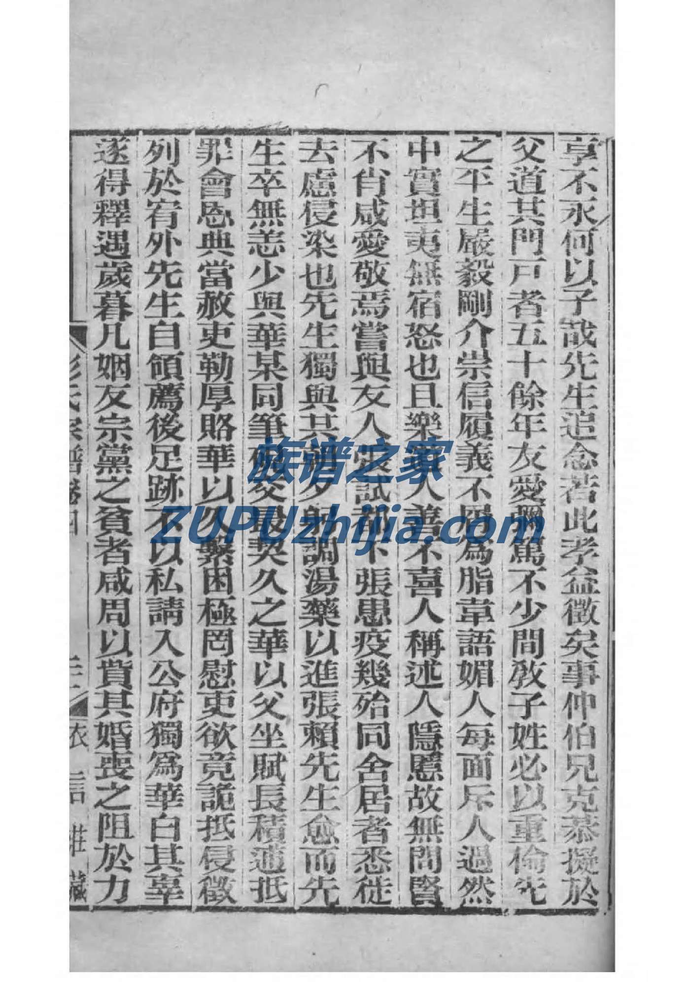 京氏族谱视频