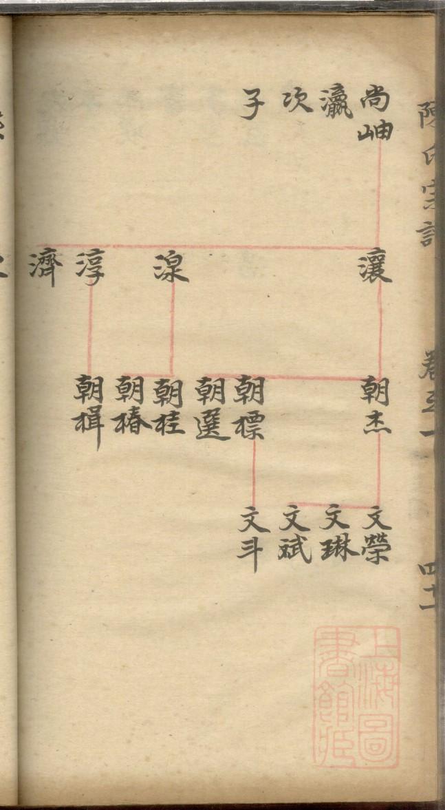 小学生族谱家谱制作