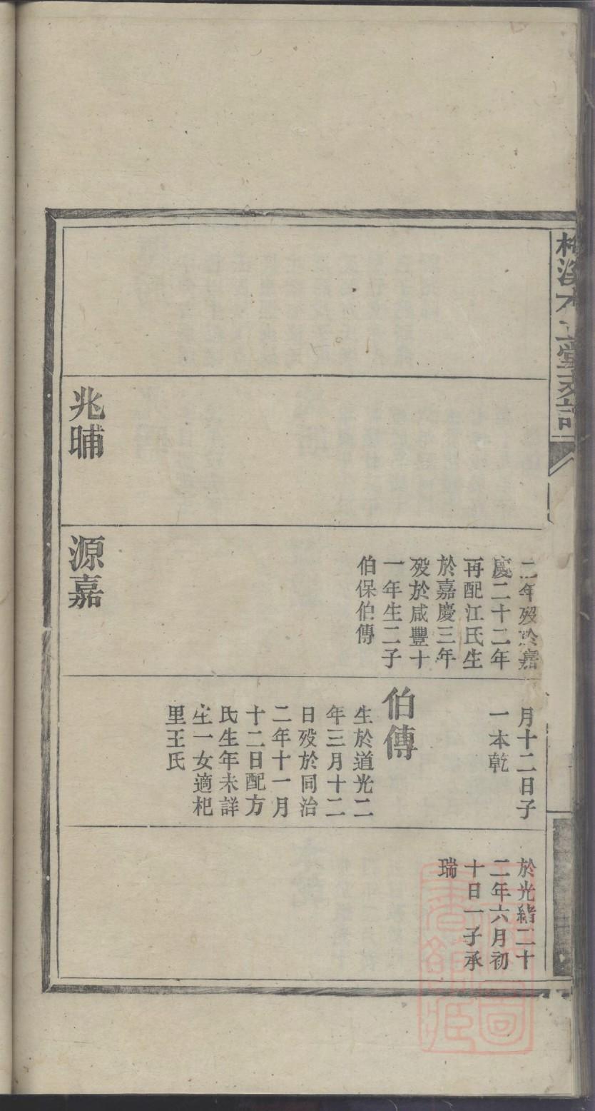 微生家族谱查询