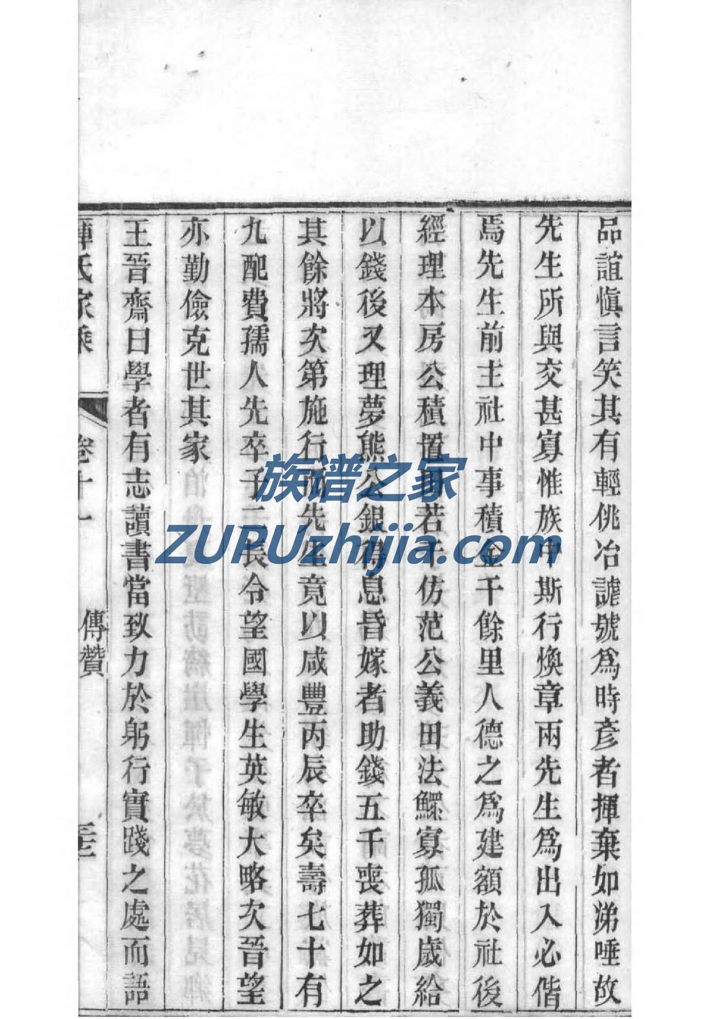 魏家家谱查询
