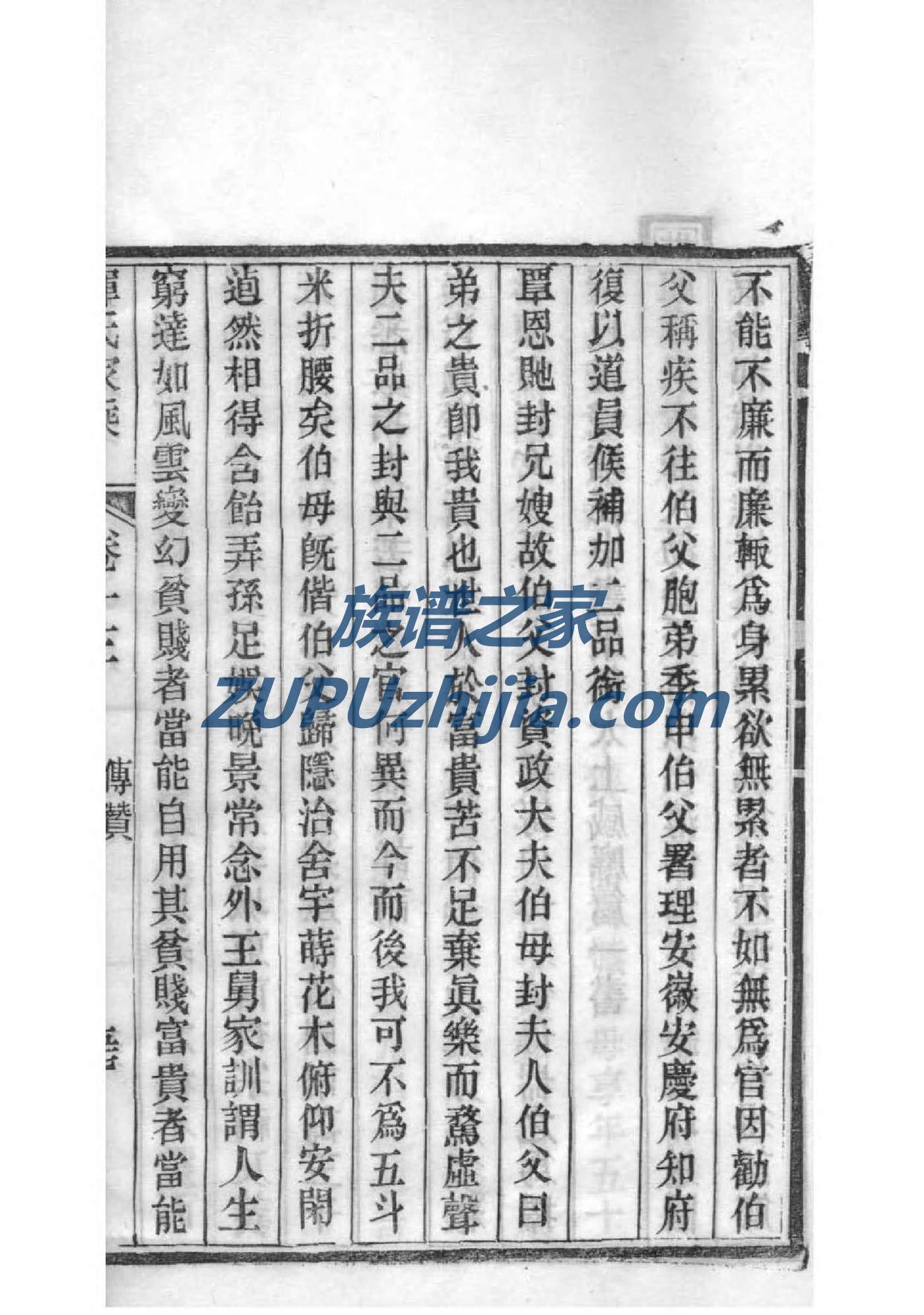 家族谱怎么写