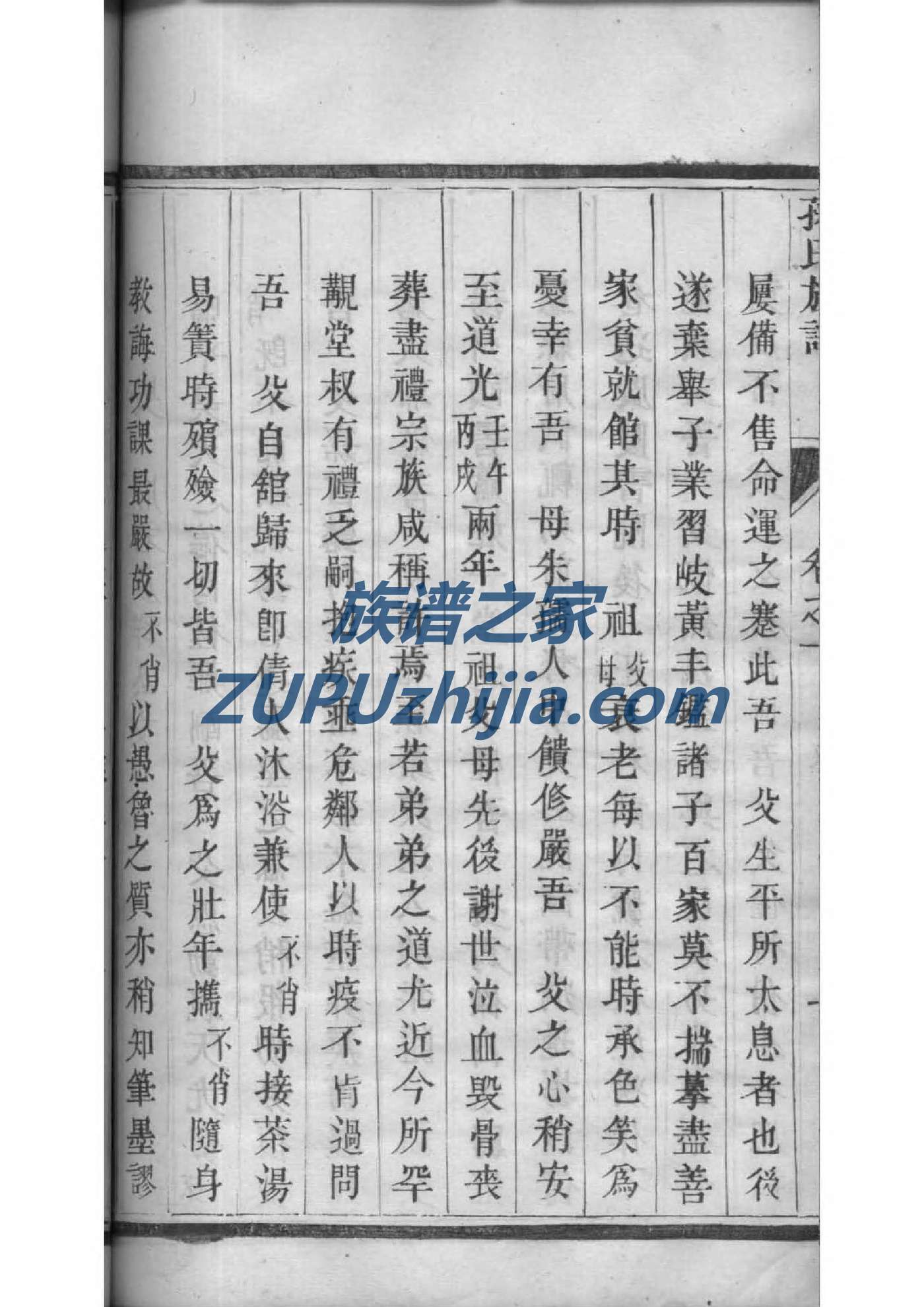 杜家族谱查询