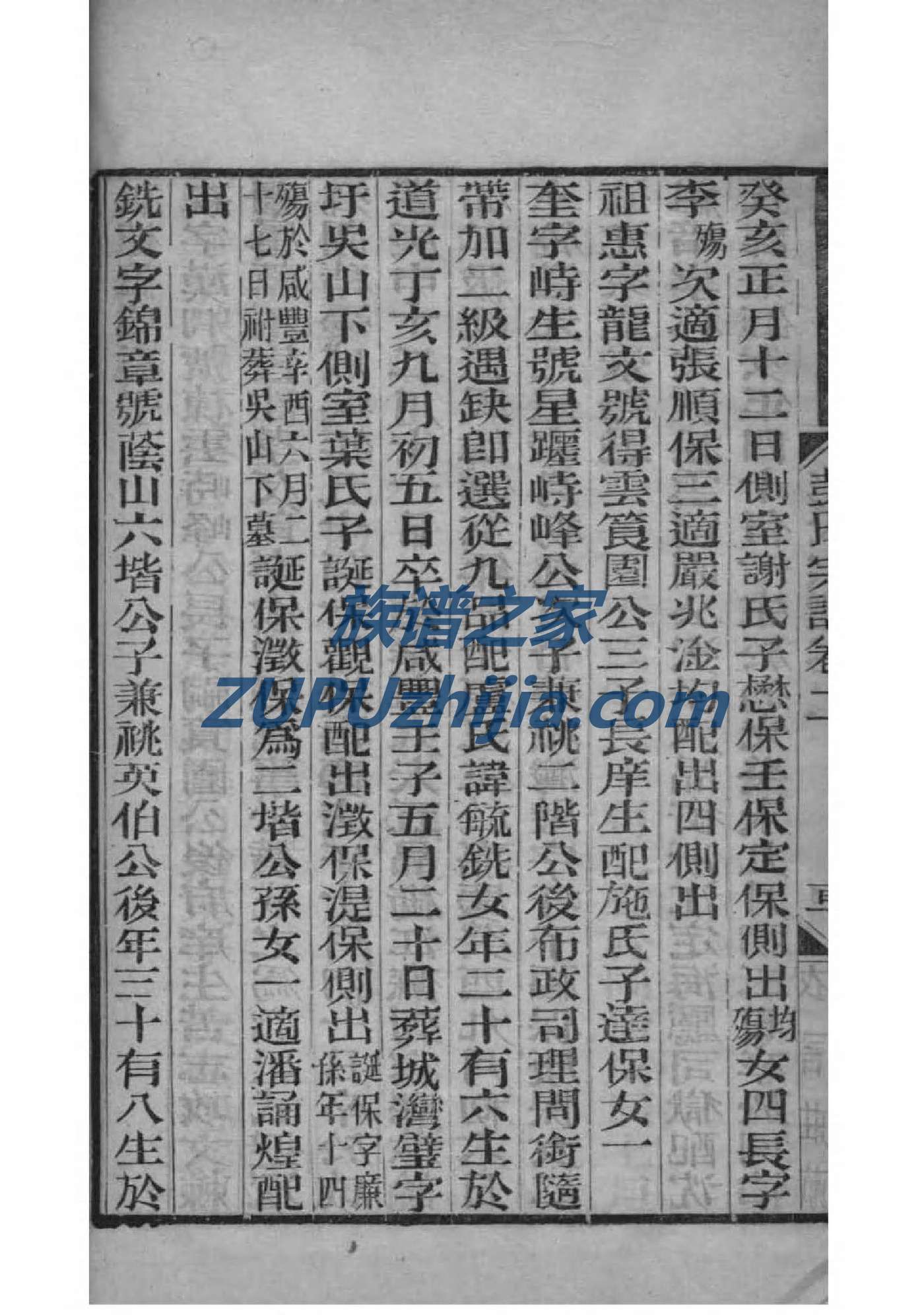 罗氏族谱电子版