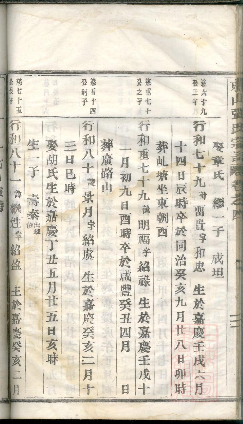 在线家谱制作模板下载