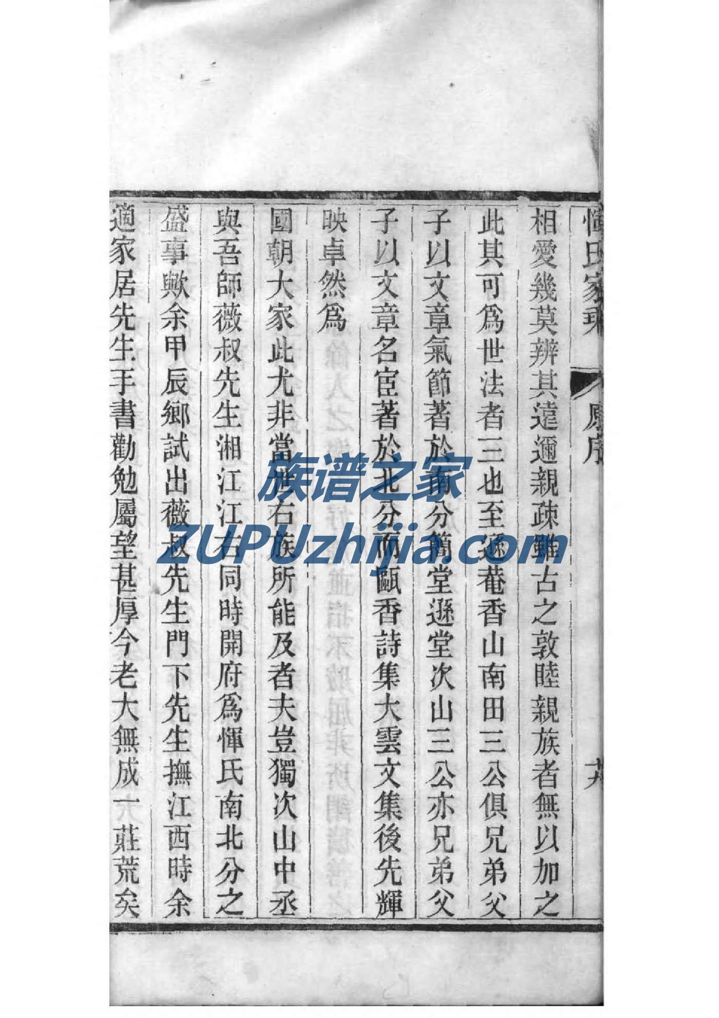 金氏家谱查询