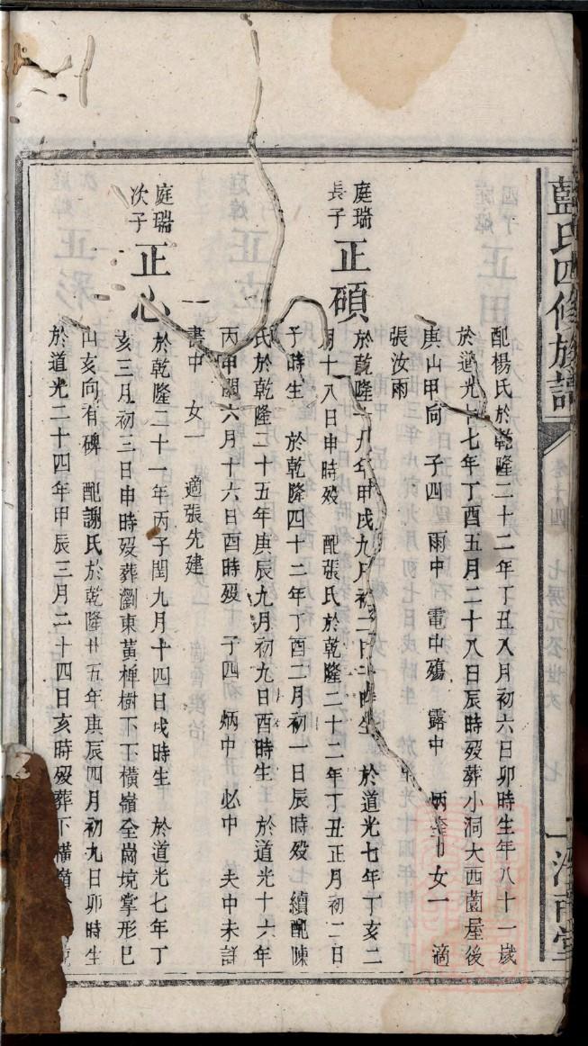 杨氏族谱丛字辈